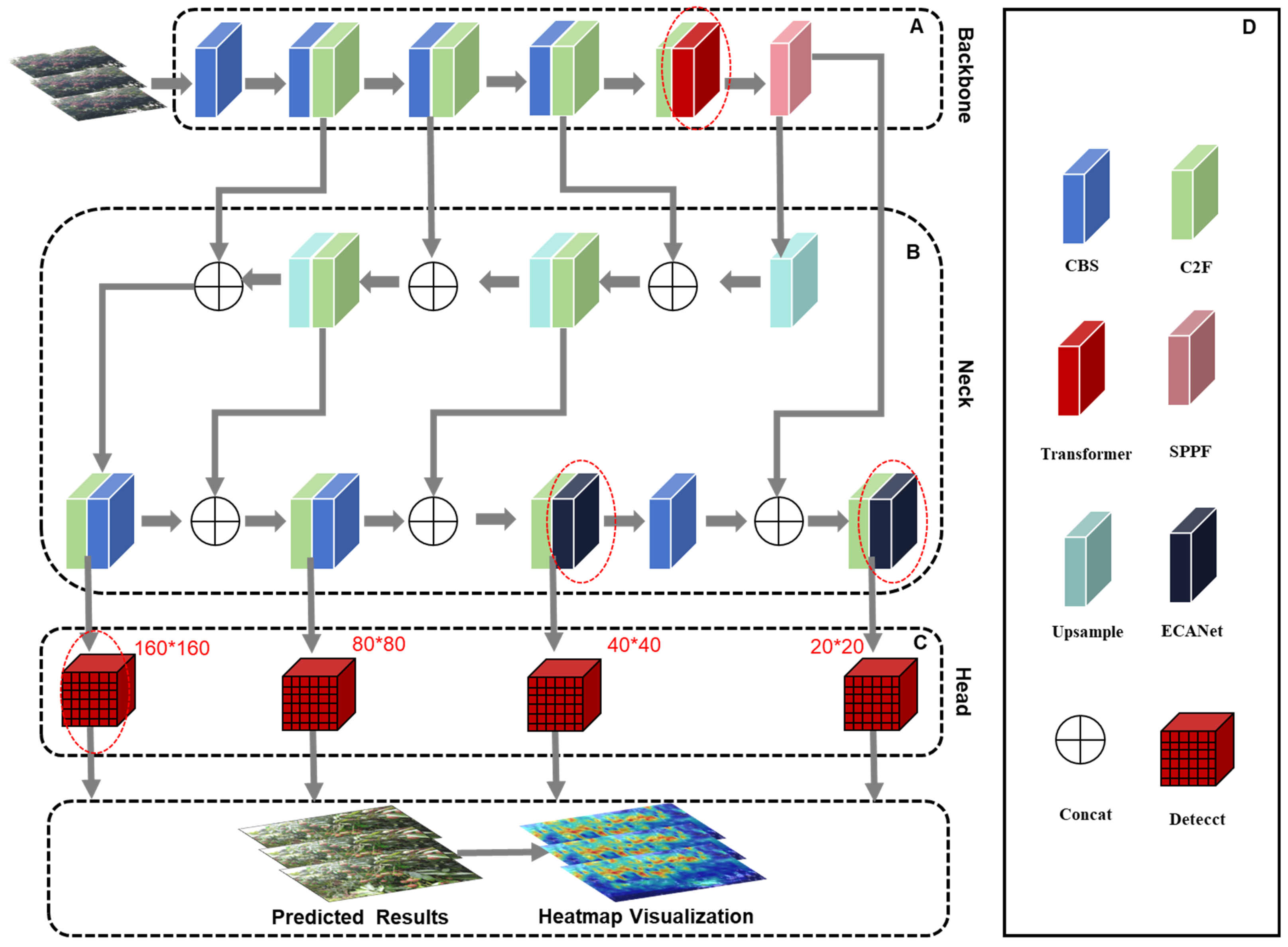 Agronomy 14 00095 g003