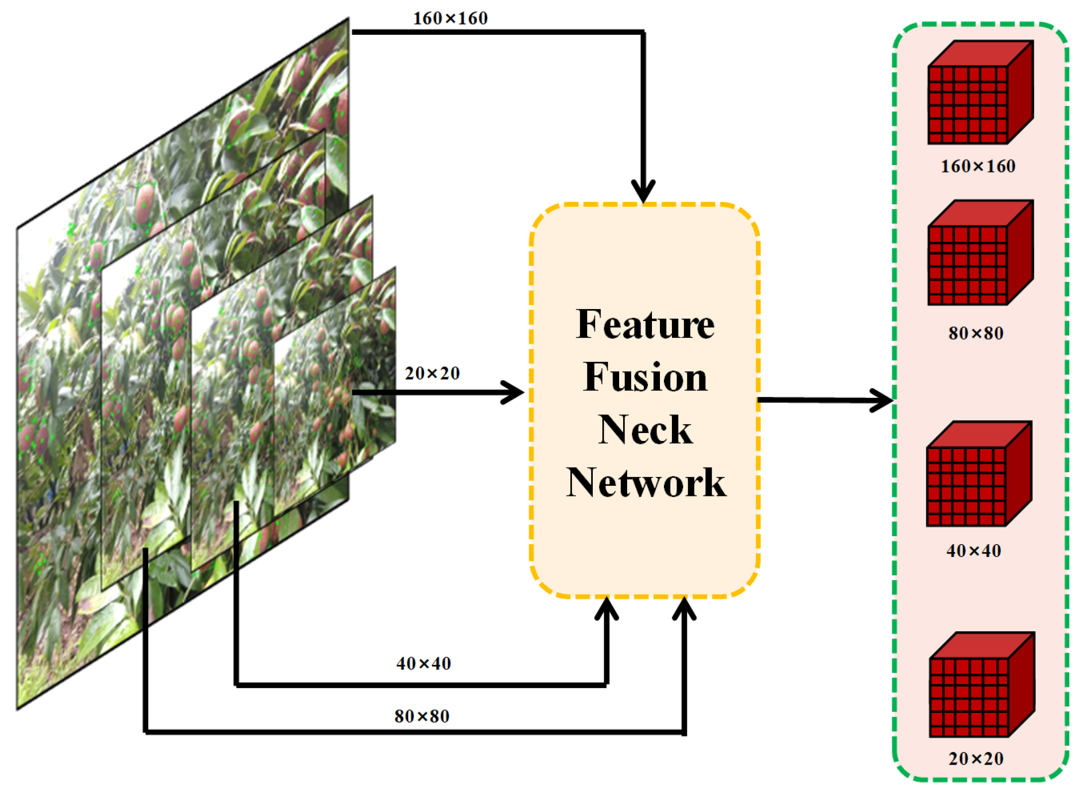 Agronomy 14 00095 g006