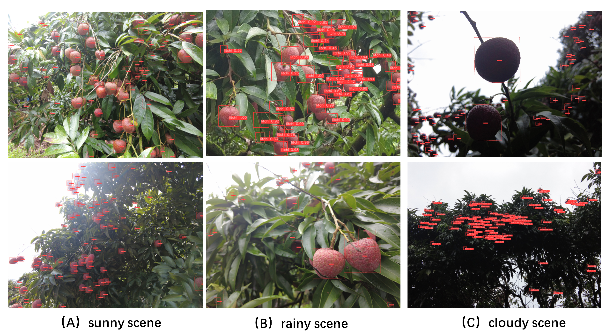 Agronomy 14 00095 g008