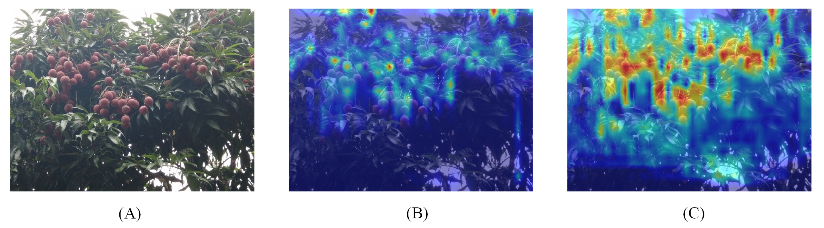 Agronomy 14 00095 g009