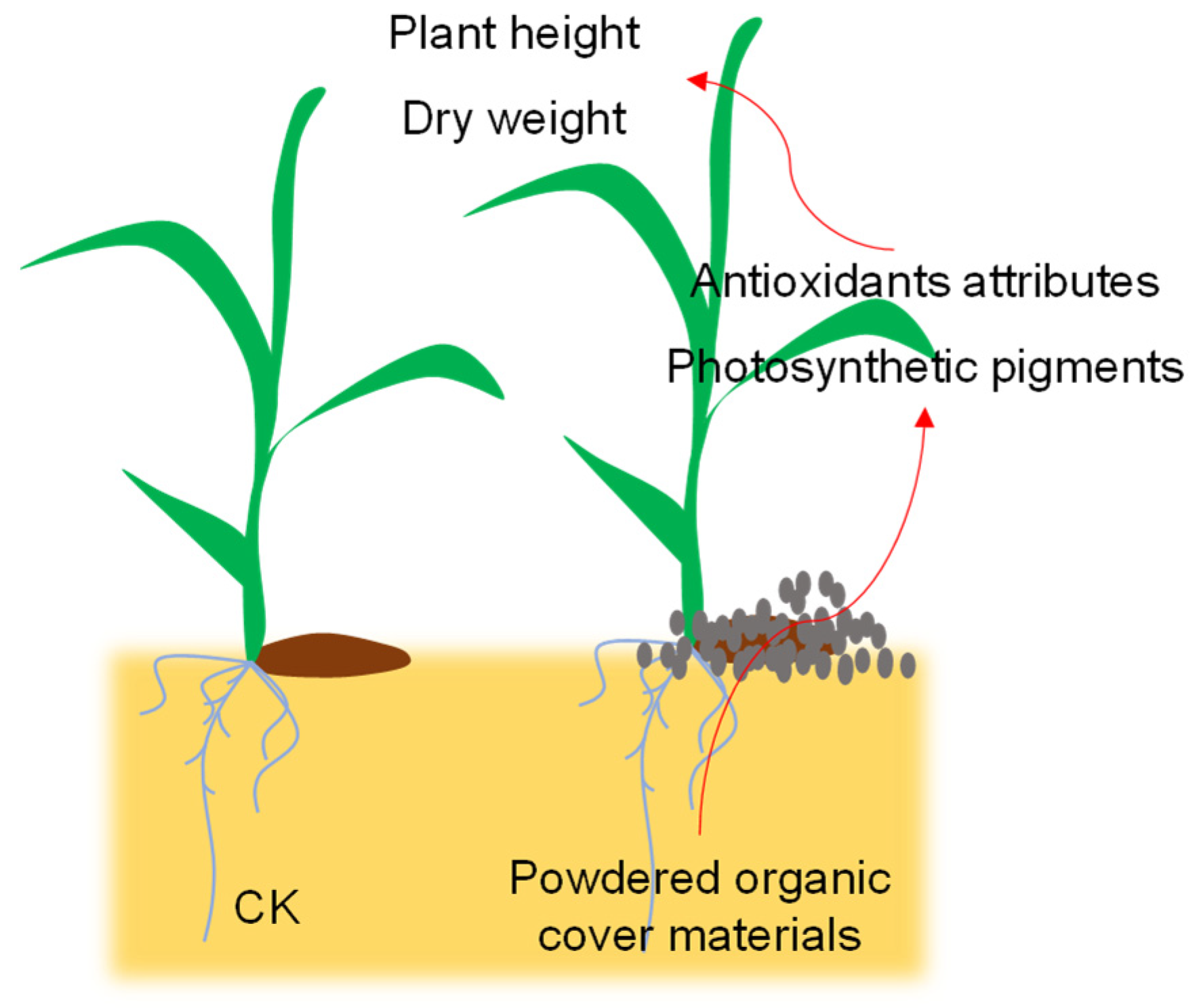 Agronomy 14 00098 g003 Agronomy 14 00098 g003