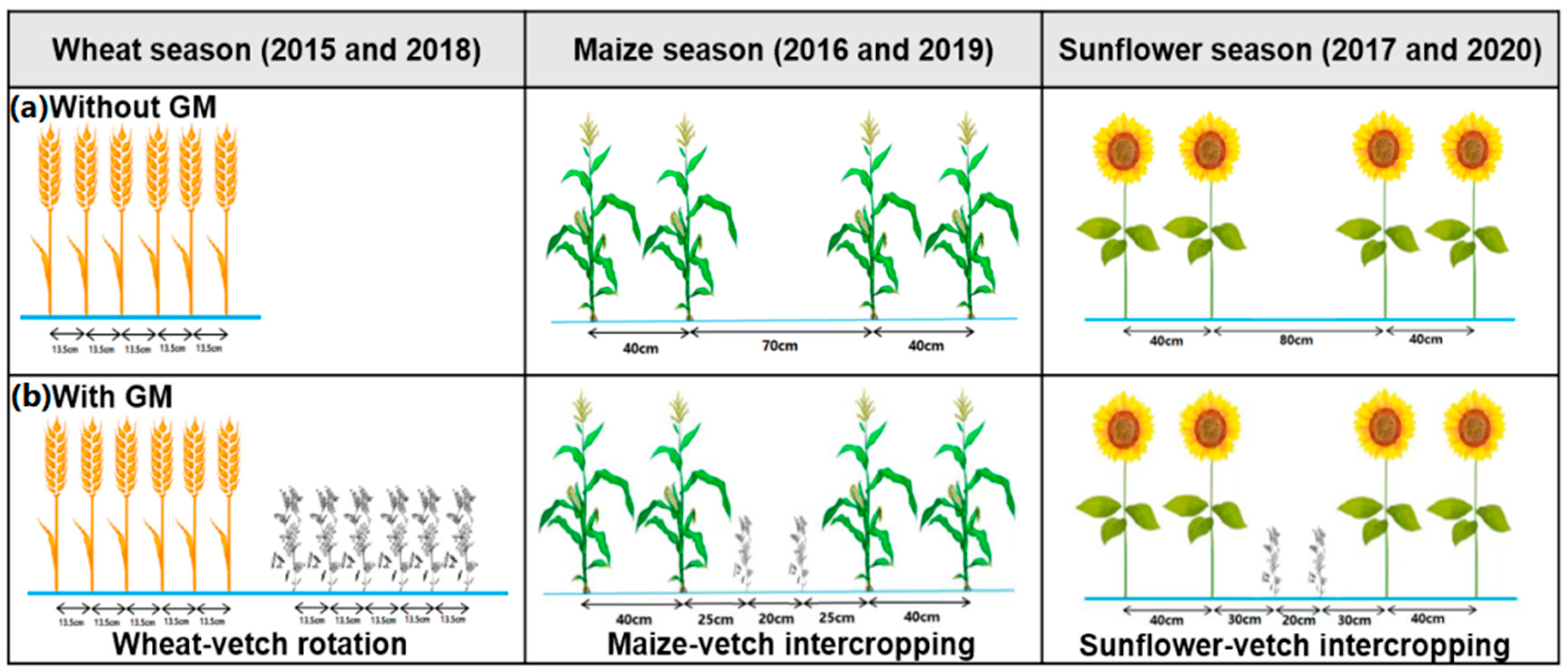 Agronomy 14 00100 g002