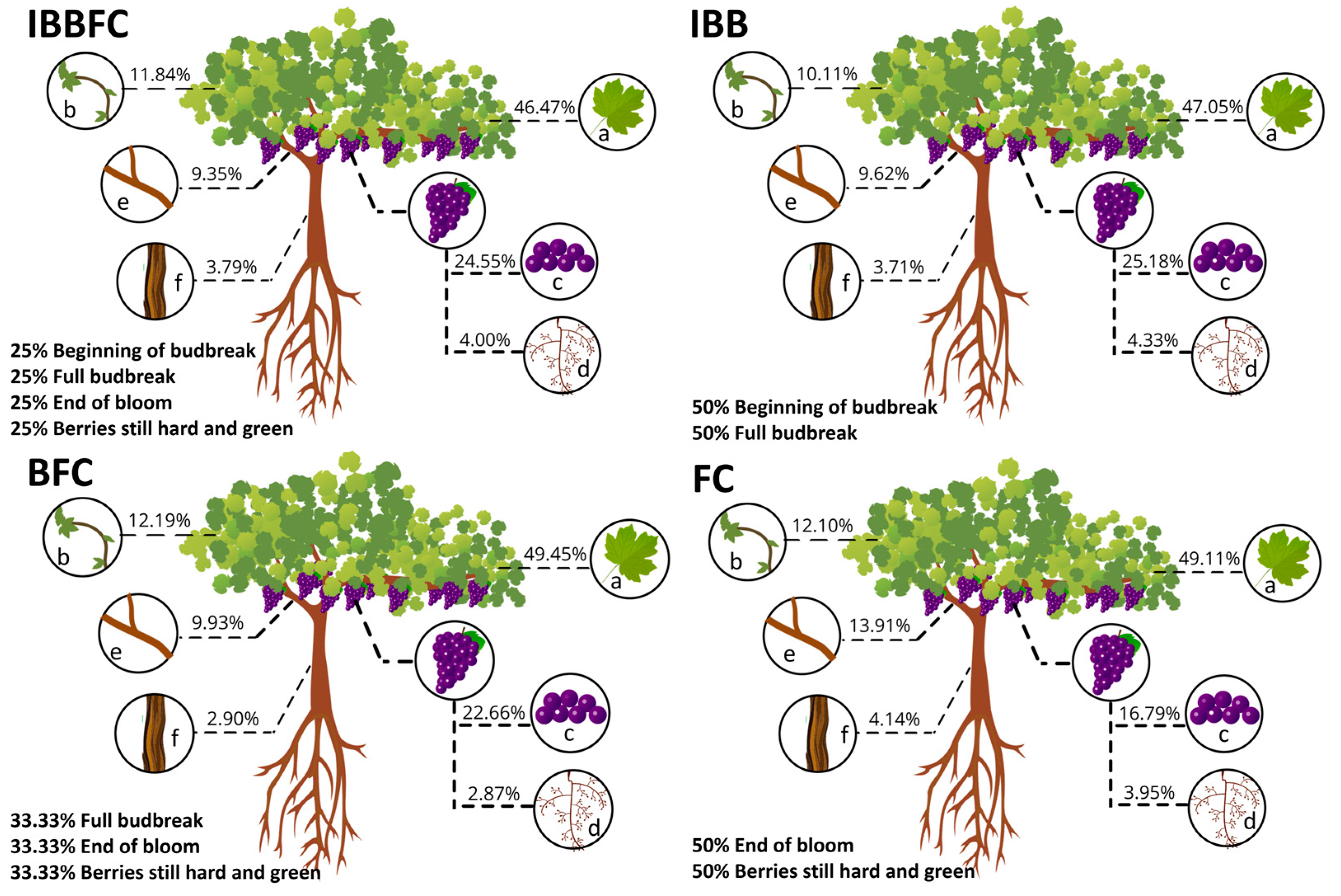 Agronomy 14 00101 g002
