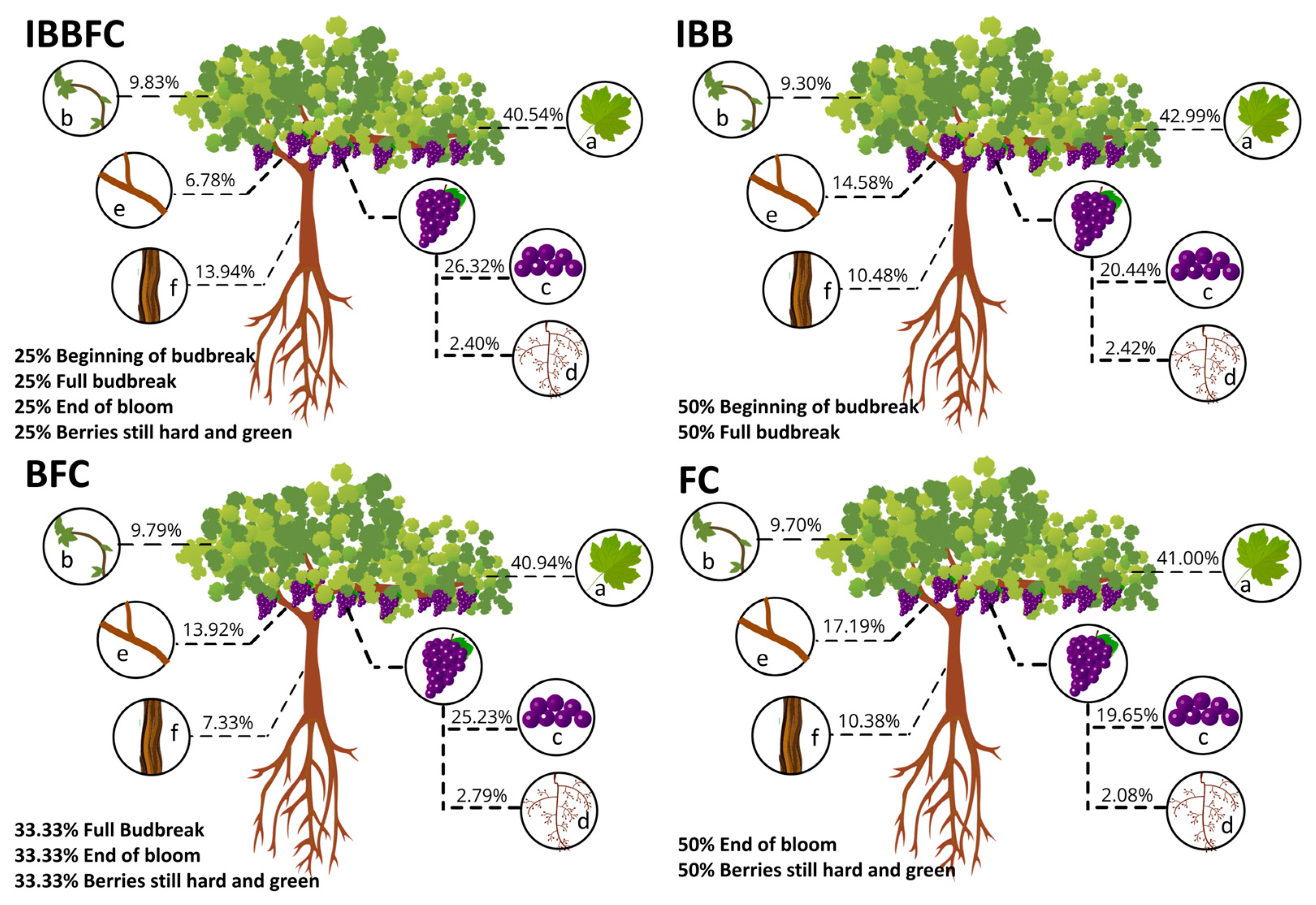 Agronomy 14 00101 g003