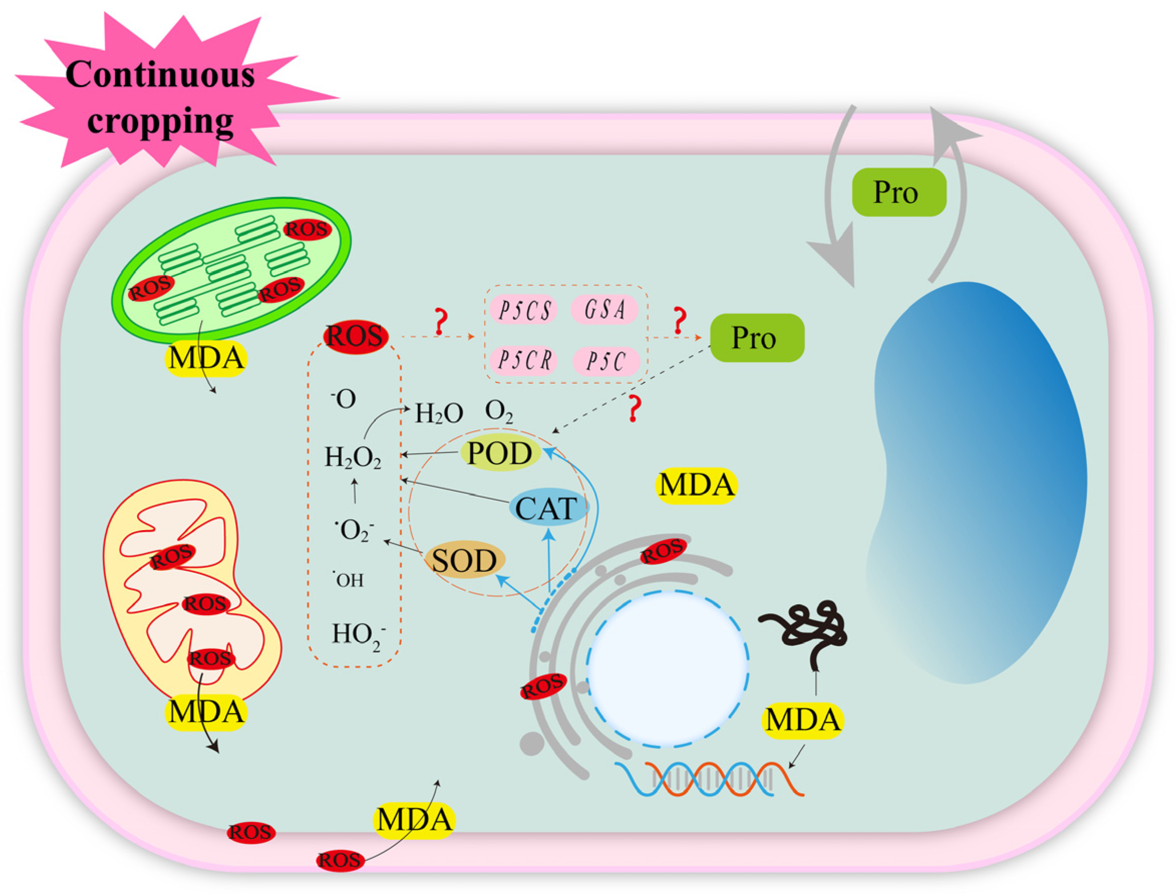 Agronomy 14 00104 g002