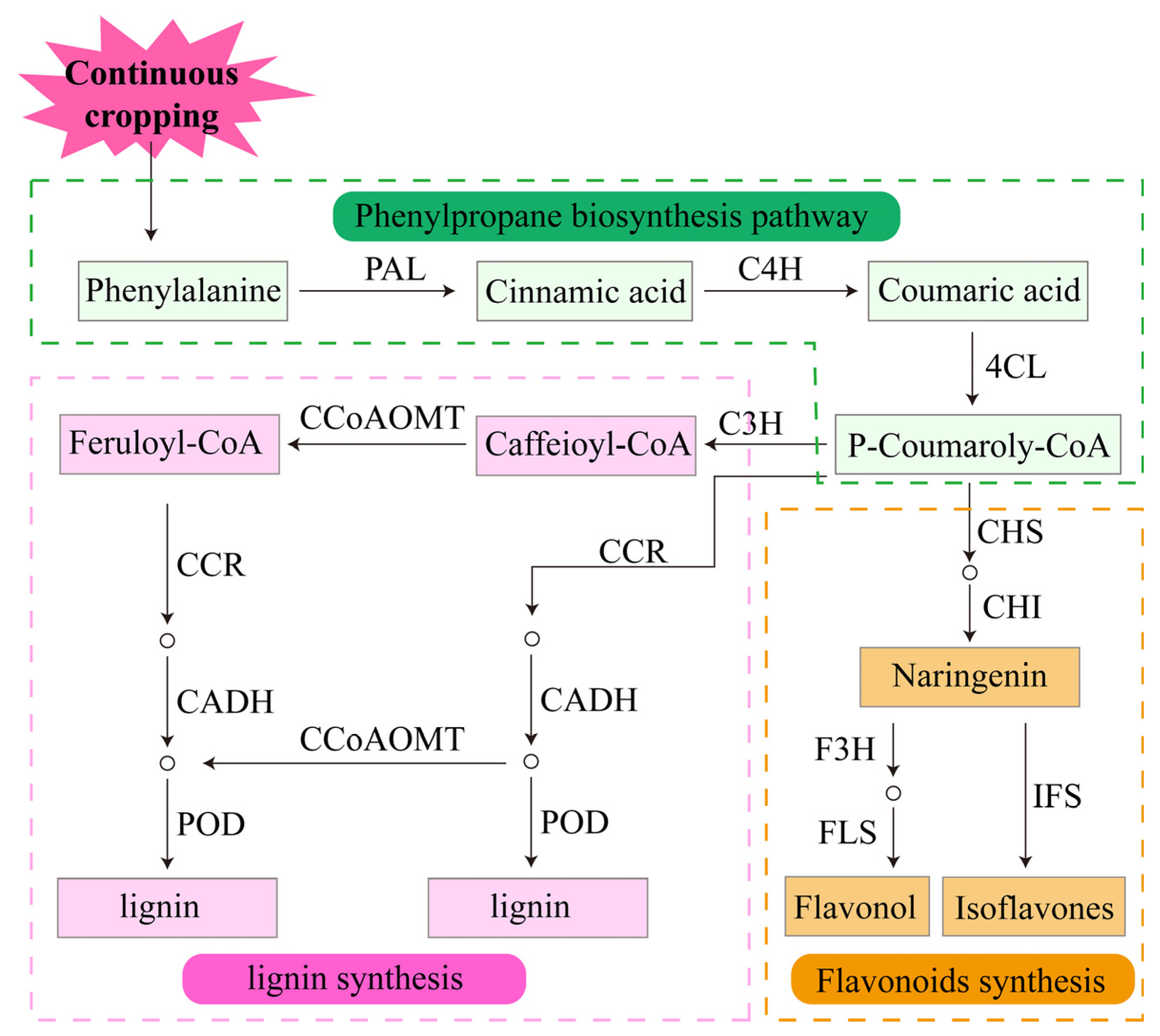 Agronomy 14 00104 g005