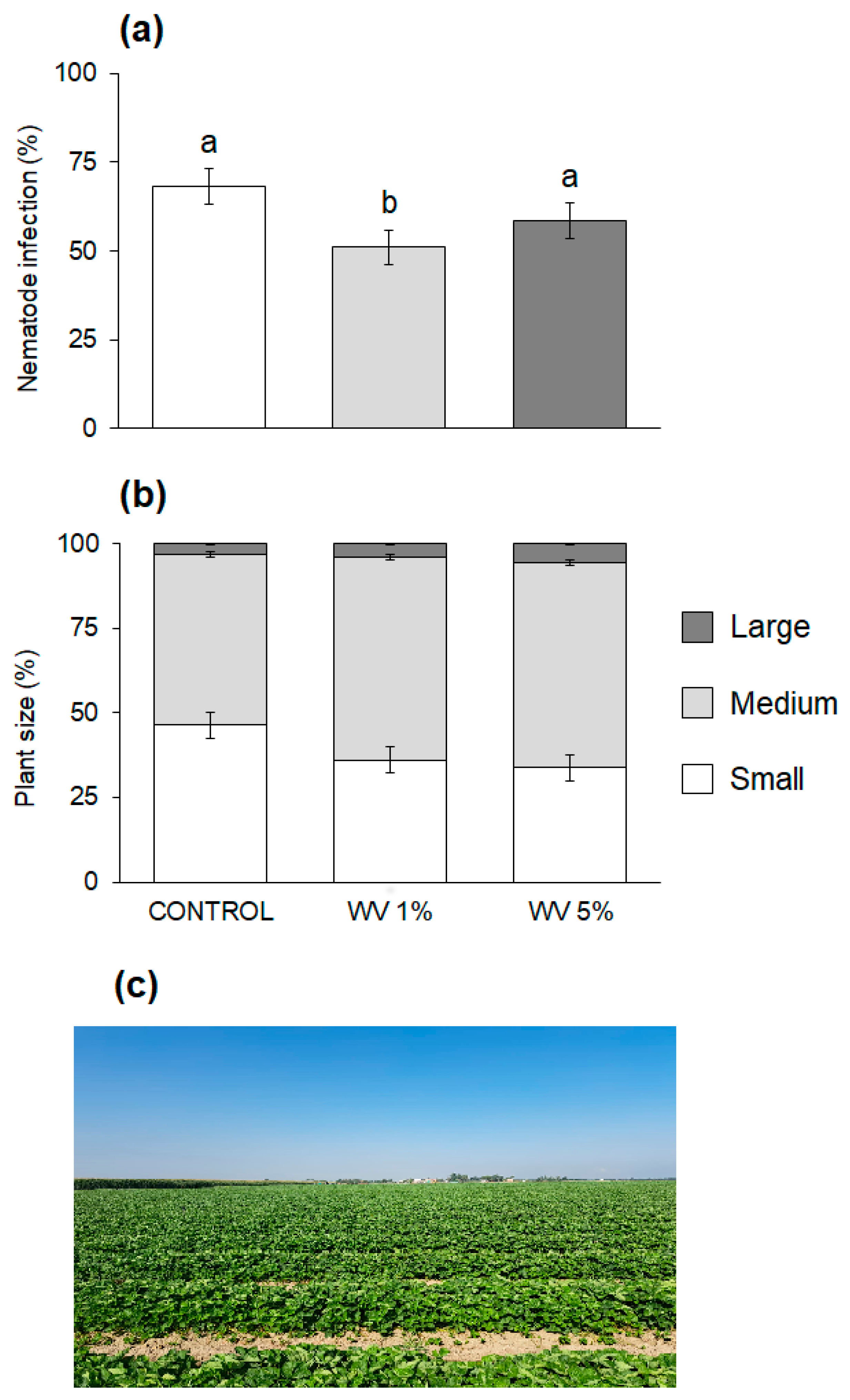 Agronomy 14 00114 g003