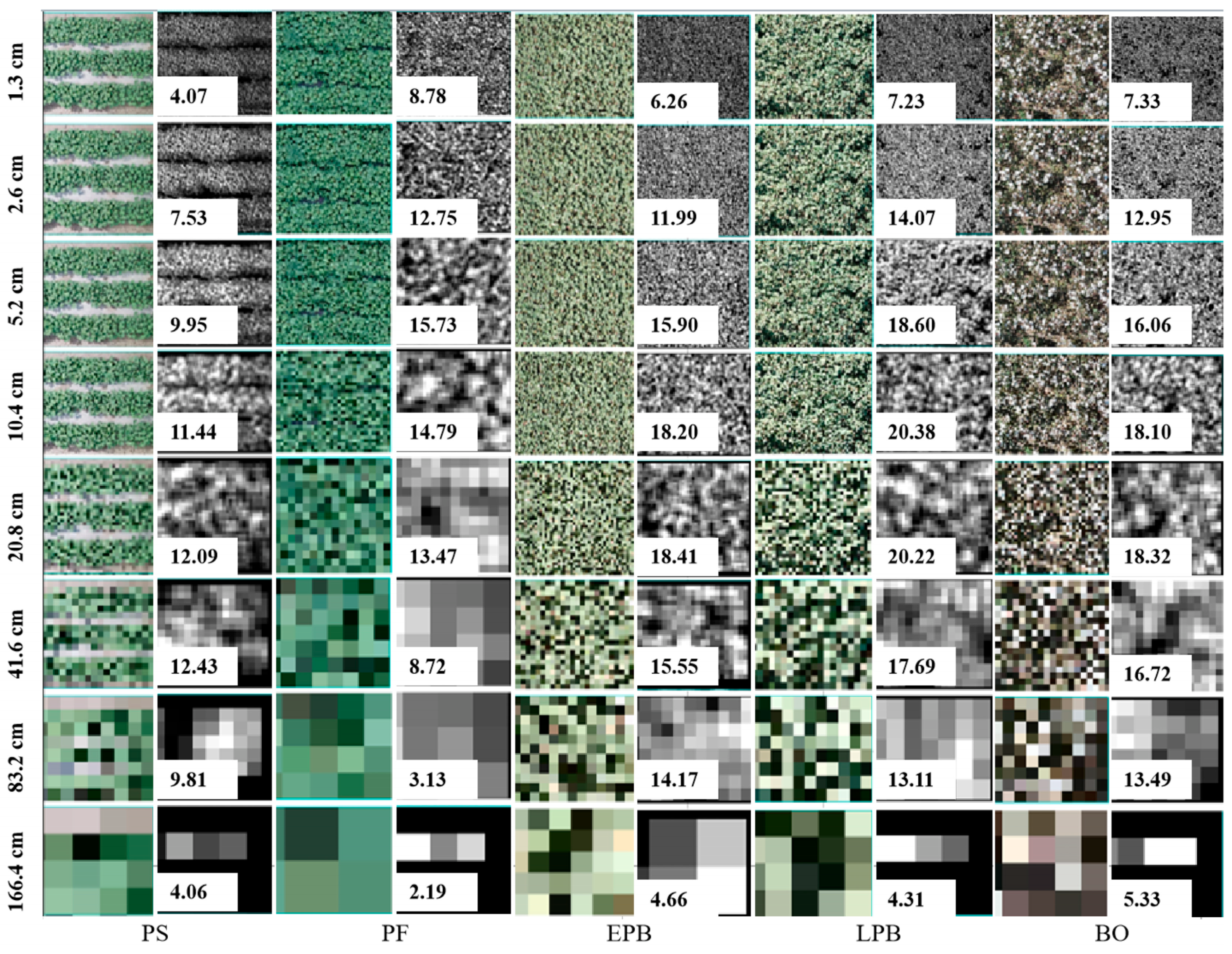 Agronomy 14 00120 g009