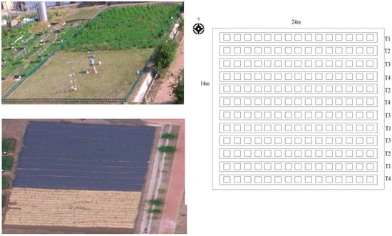 Agronomy 14 00125 g0a1