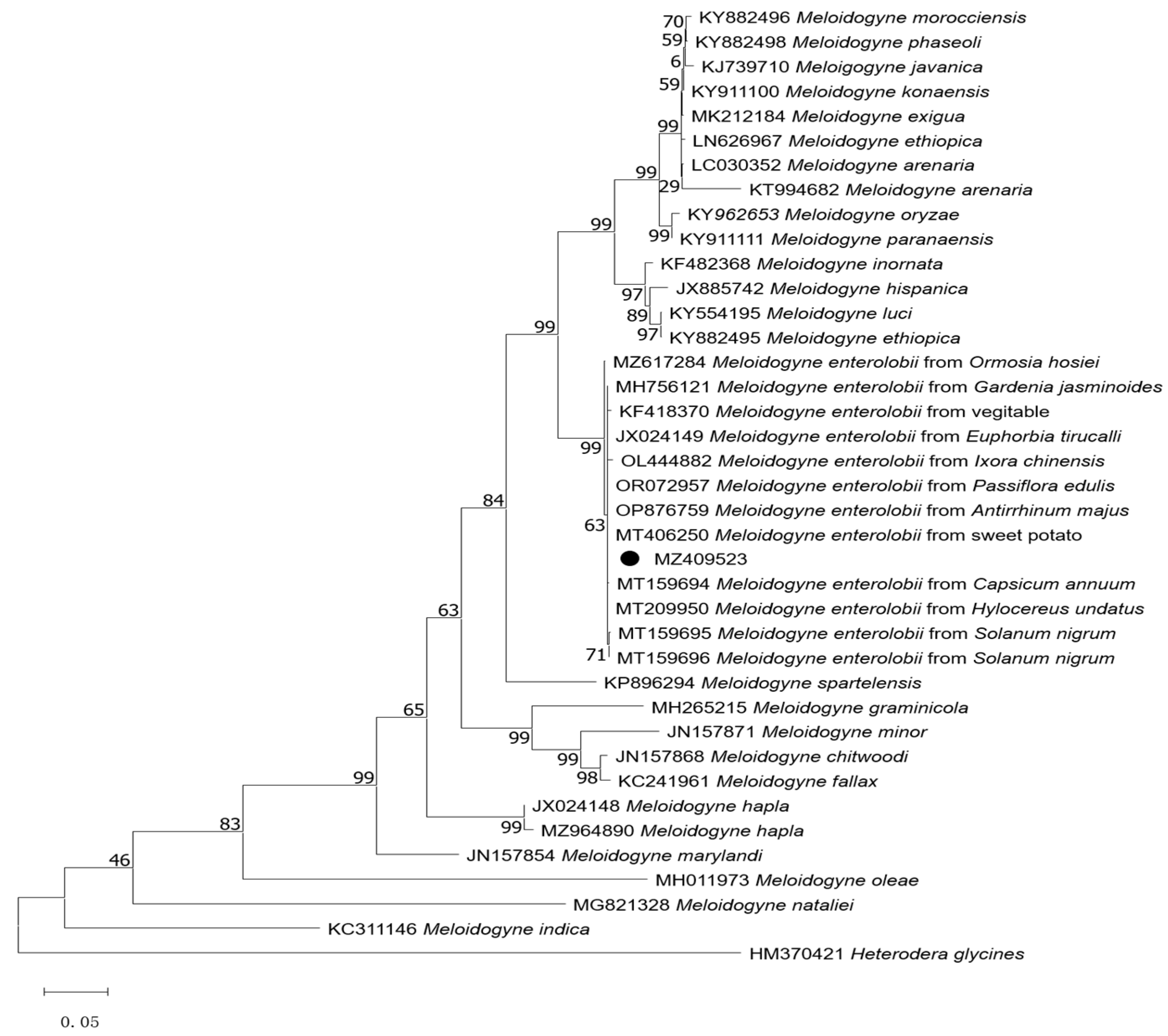 Agronomy 14 00129 g004 Agronomy 14 00129 g004