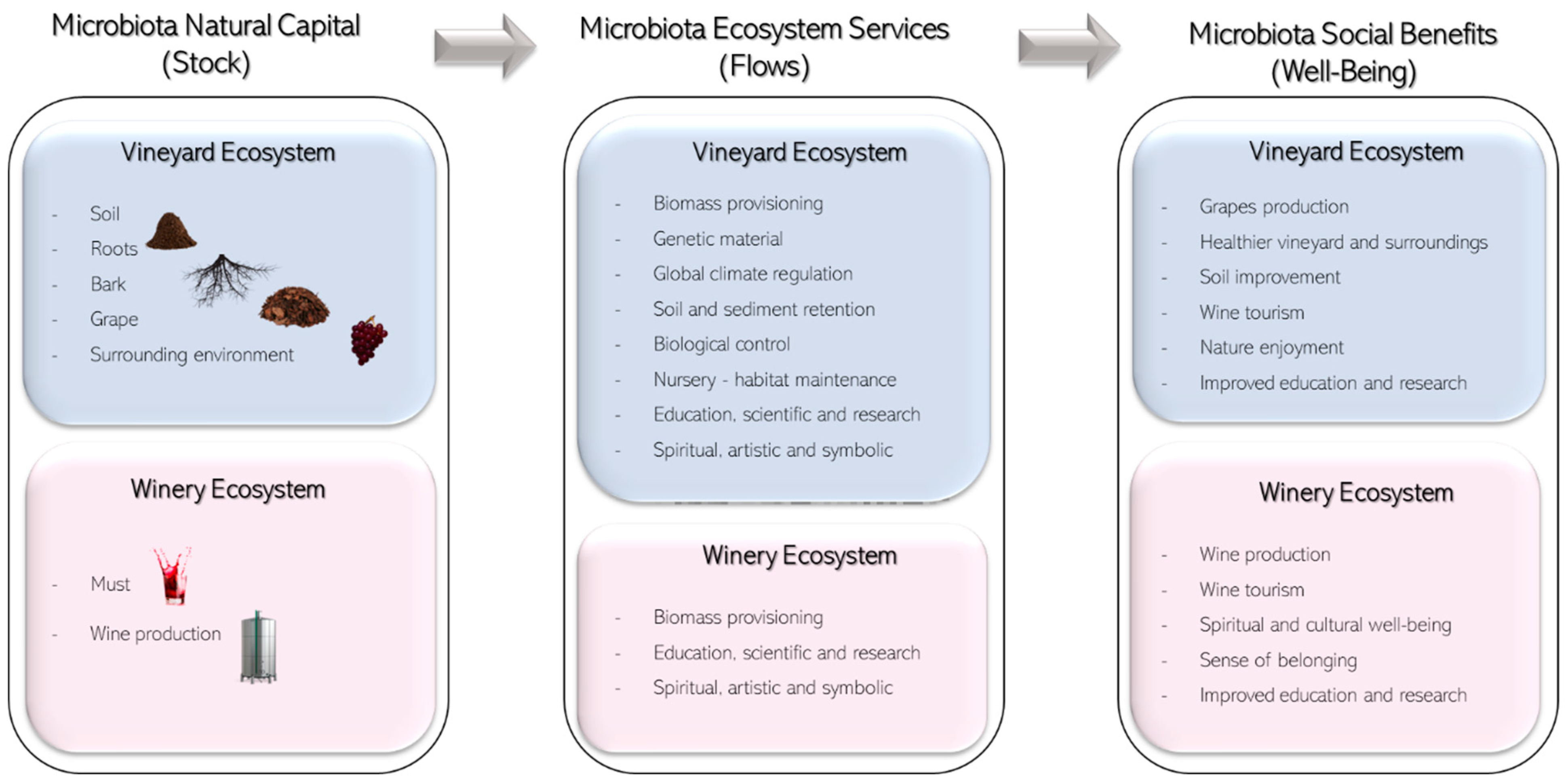 Agronomy 14 00131 g002