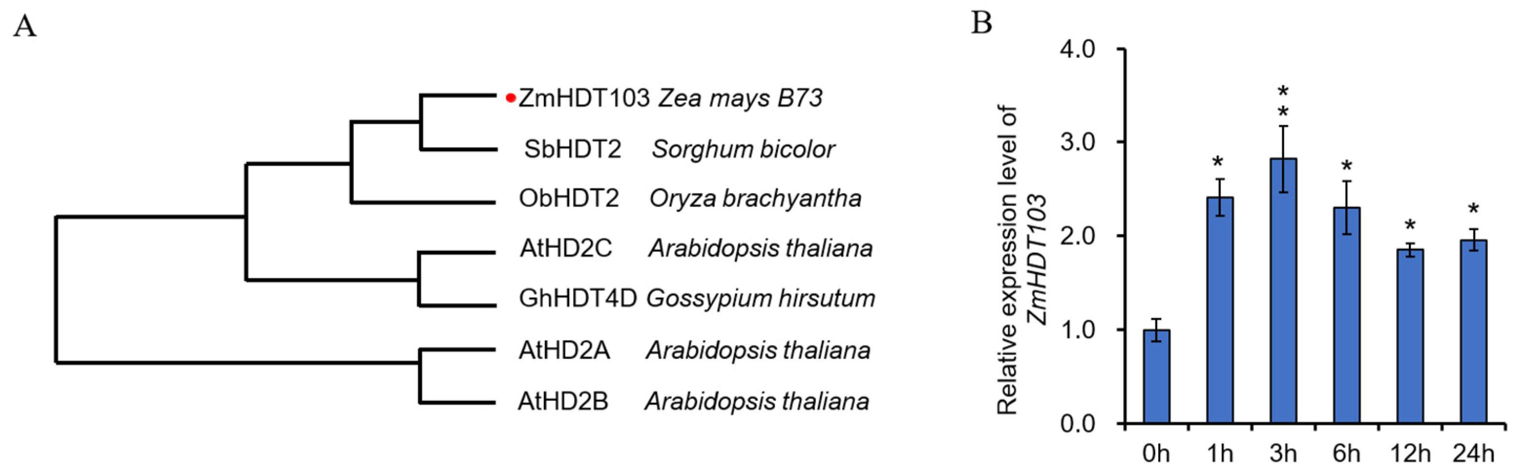 Agronomy 14 00134 g001