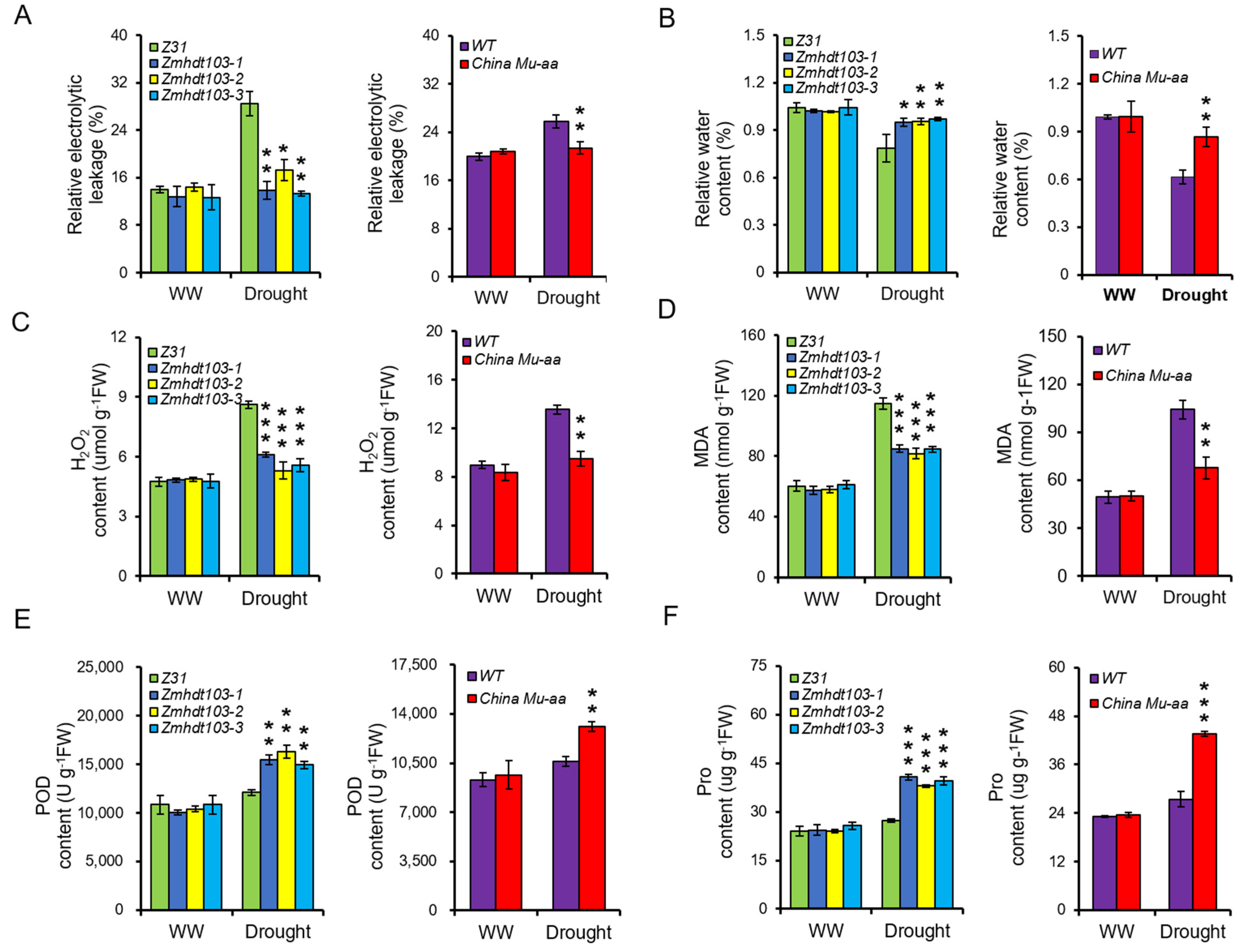 Agronomy 14 00134 g004