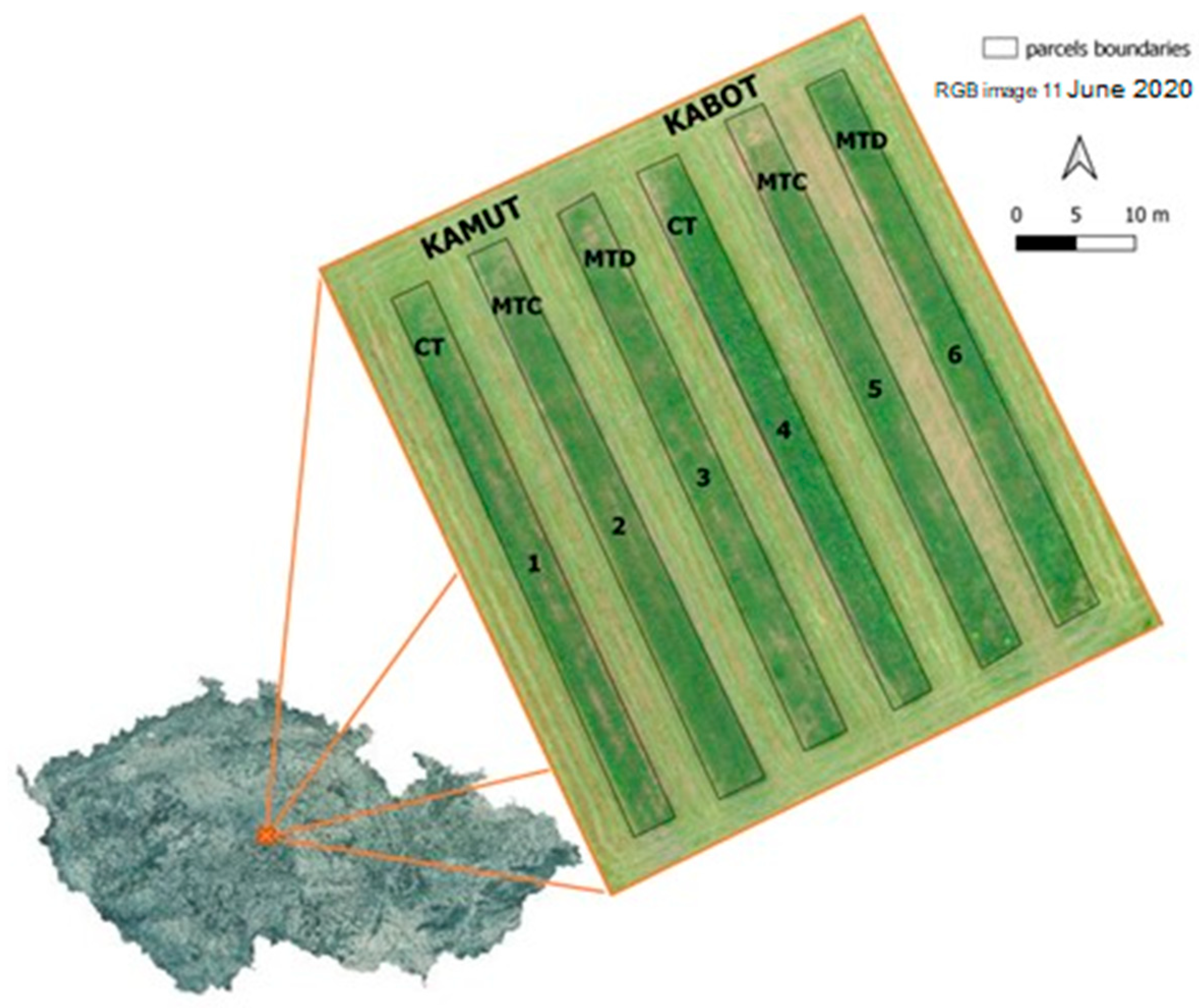 Agronomy 14 00147 g001