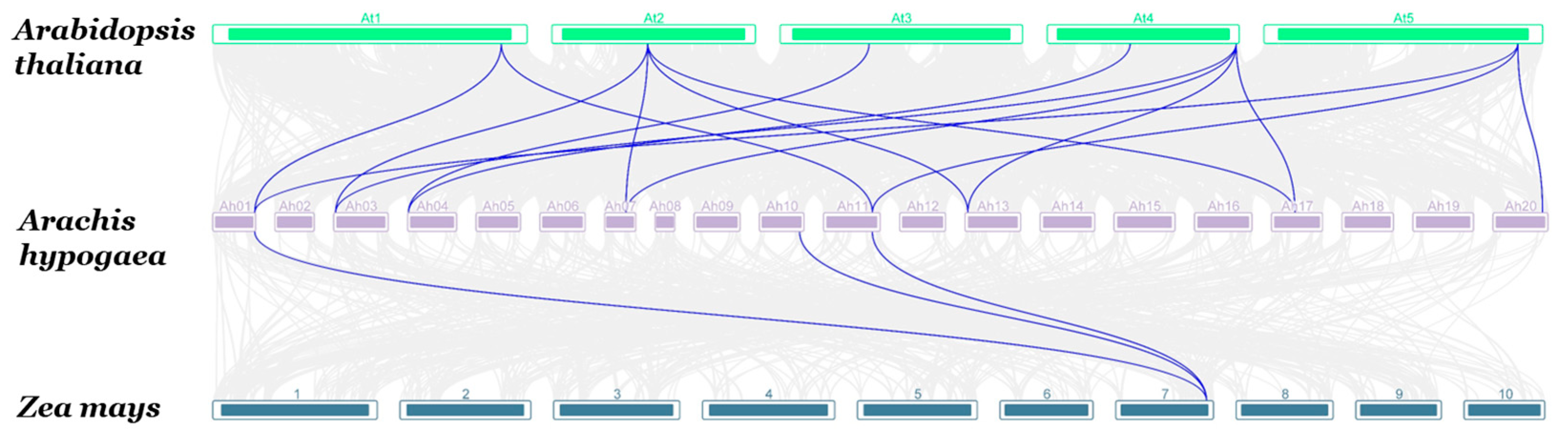 Agronomy 14 00165 g003