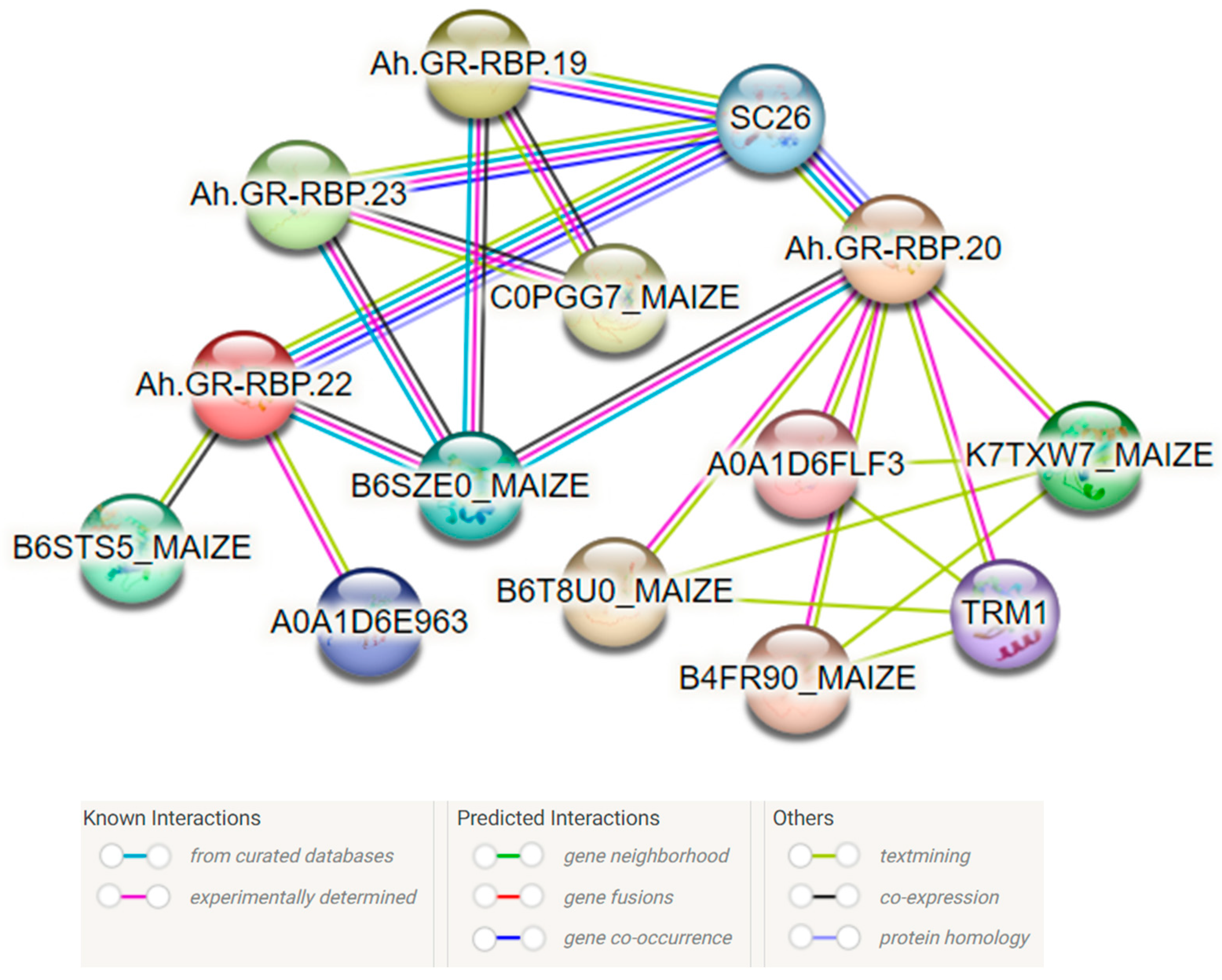 Agronomy 14 00165 g006