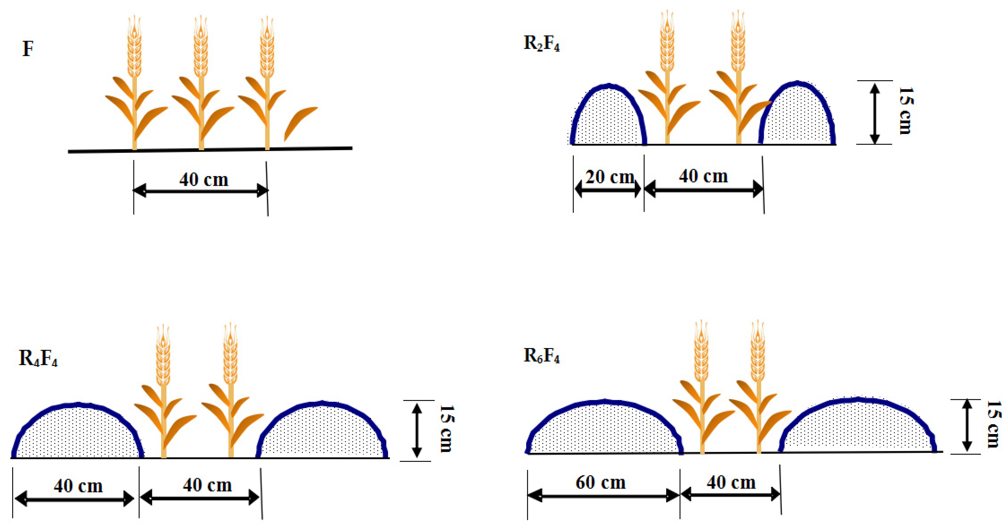 Agronomy 14 00172 g002 Agronomy 14 00172 g002
