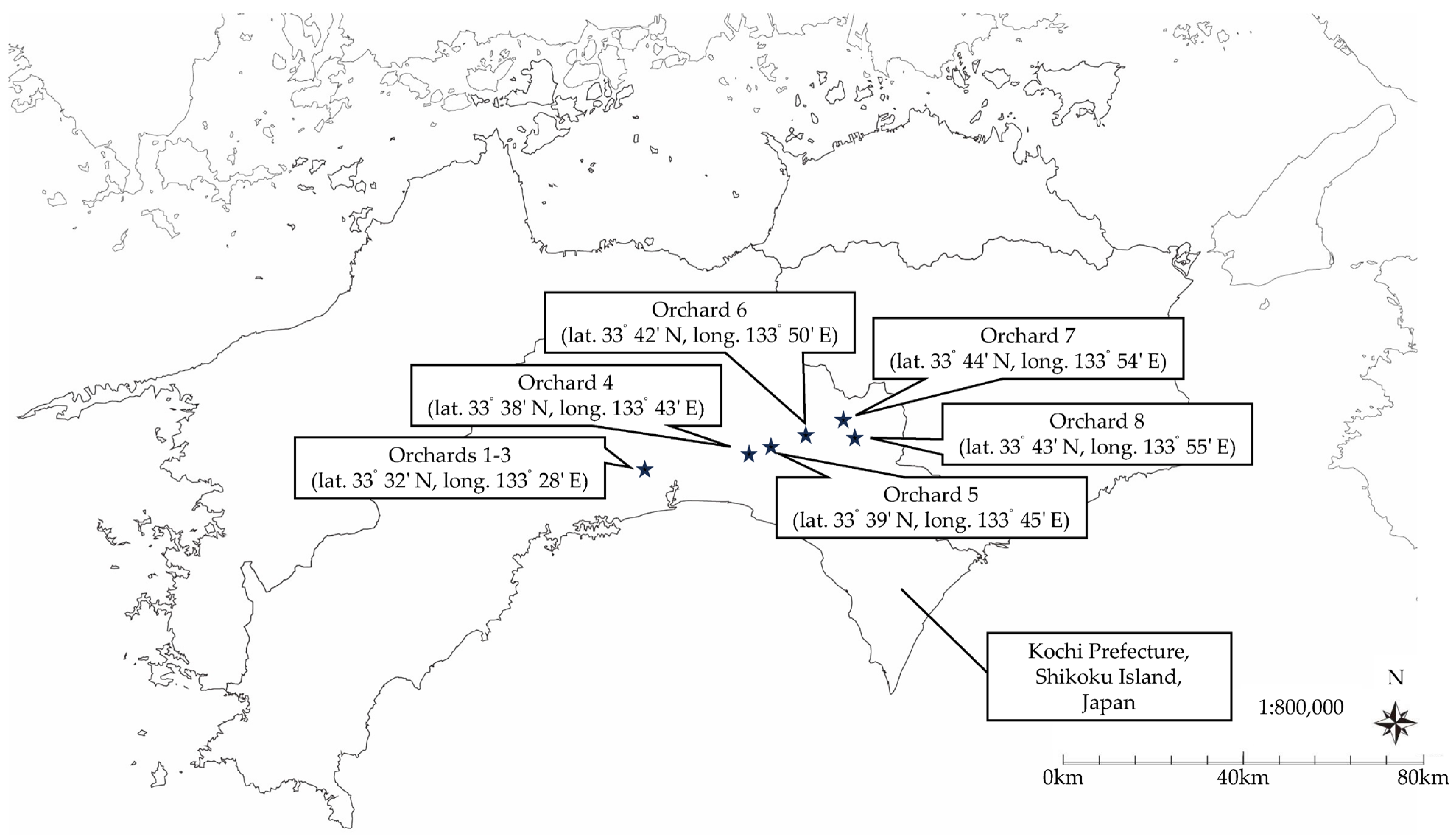 Agronomy 14 00174 g002