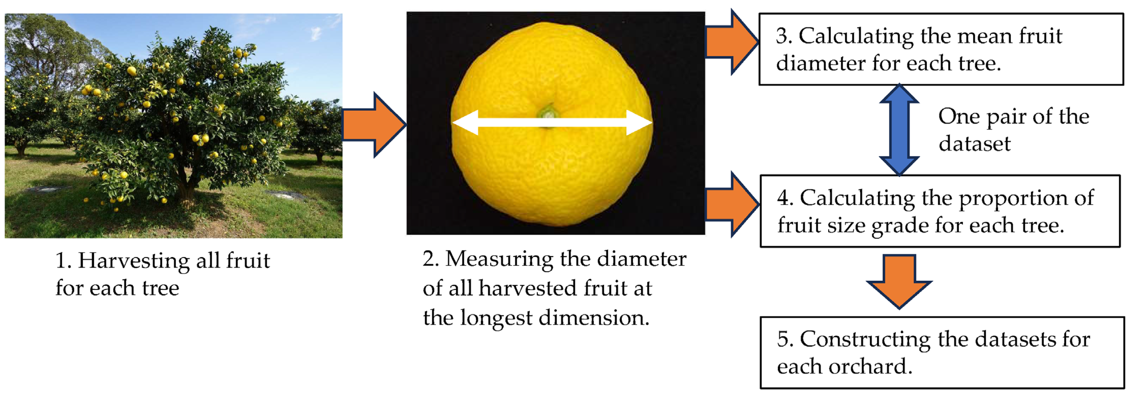 Agronomy 14 00174 g003
