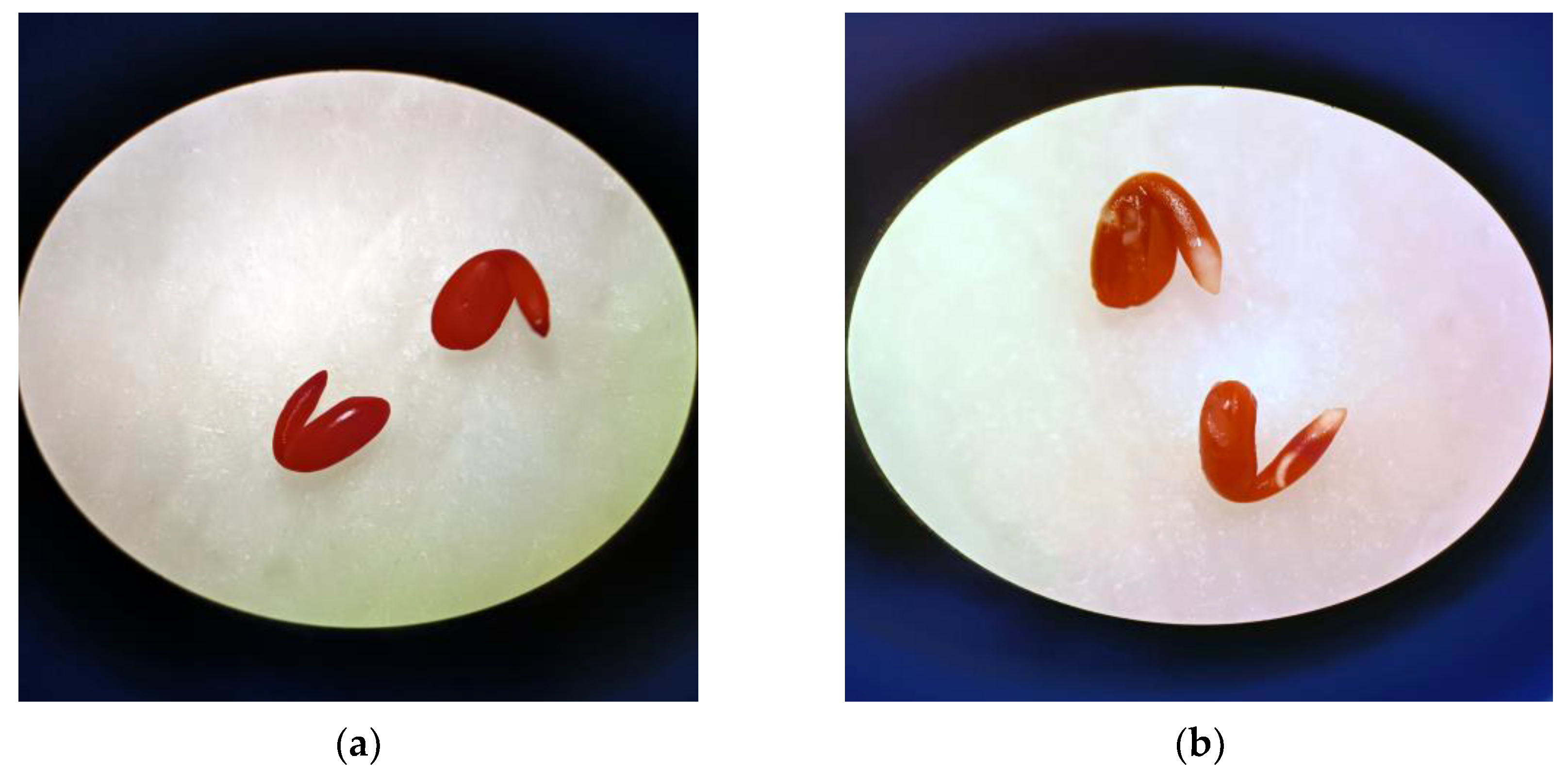 Agronomy 14 00178 g001 Agronomy 14 00178 g001