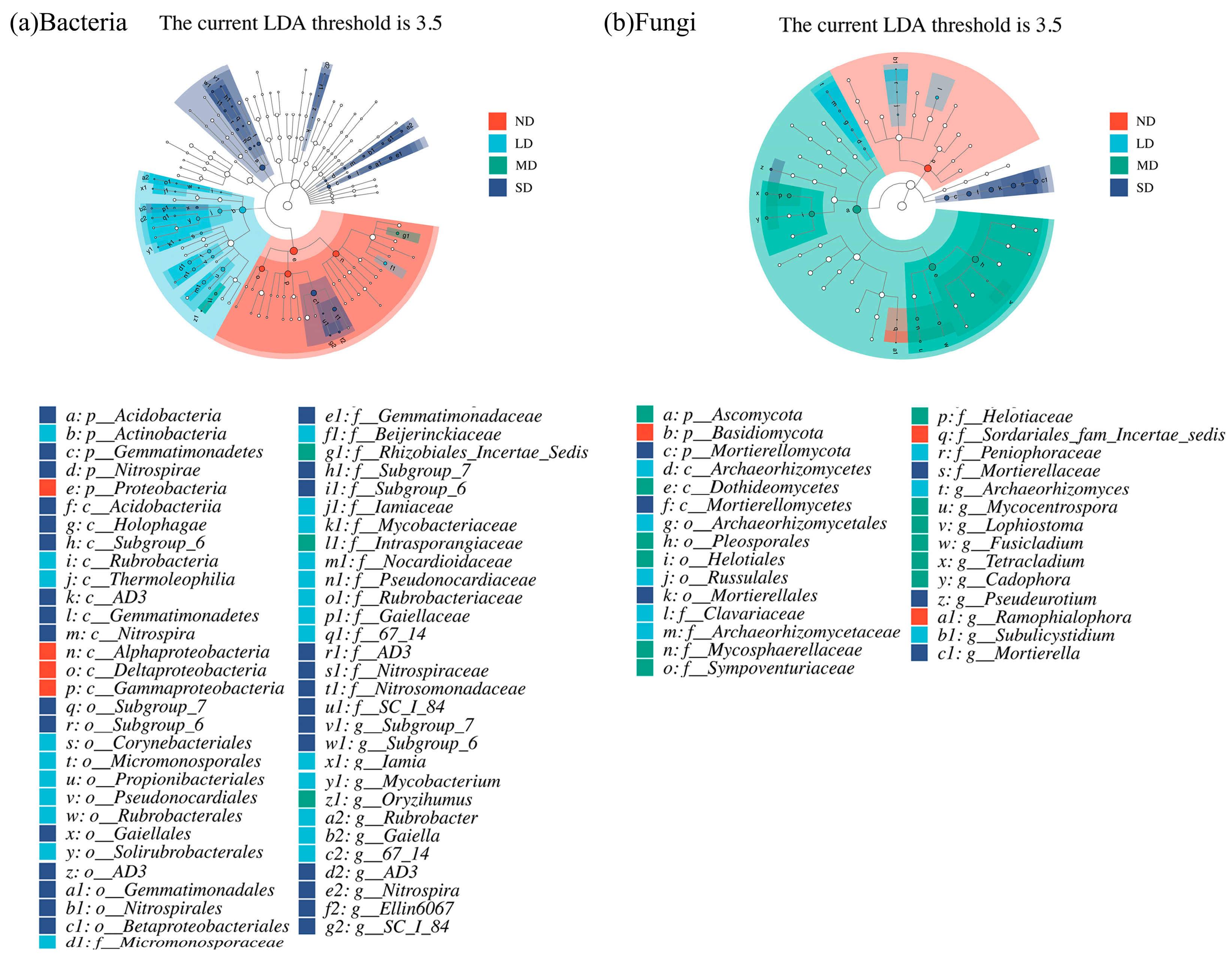 Agronomy 14 00195 g004