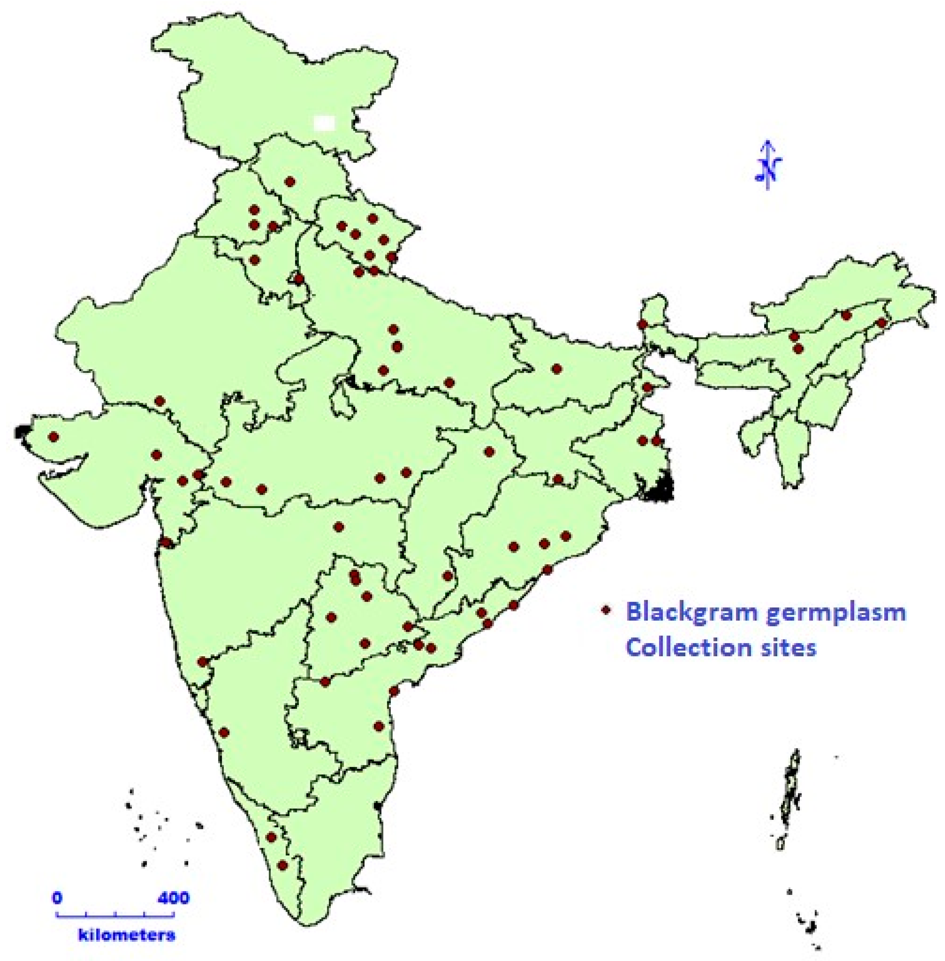 Agronomy 14 00197 g001