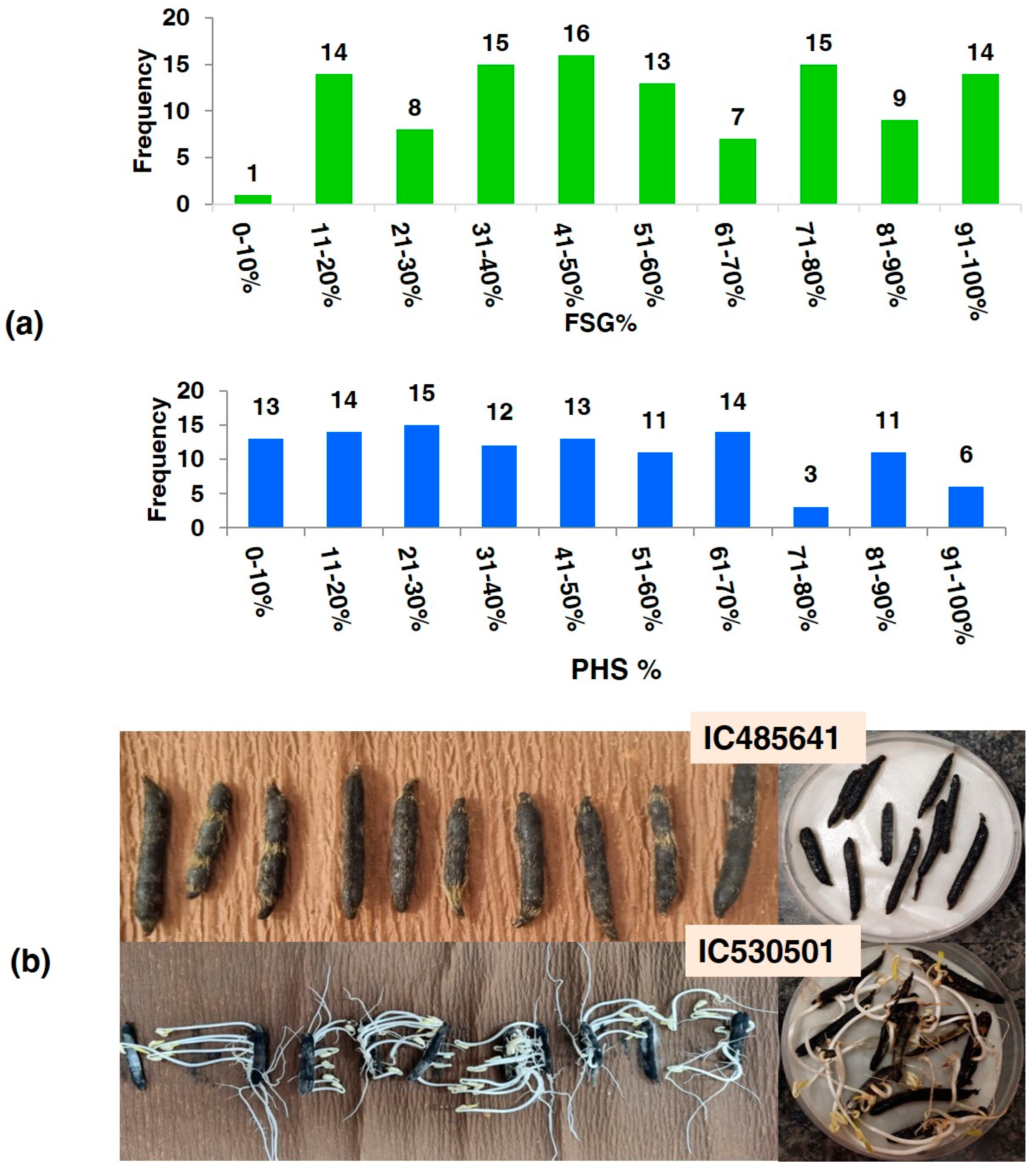 Agronomy 14 00197 g002