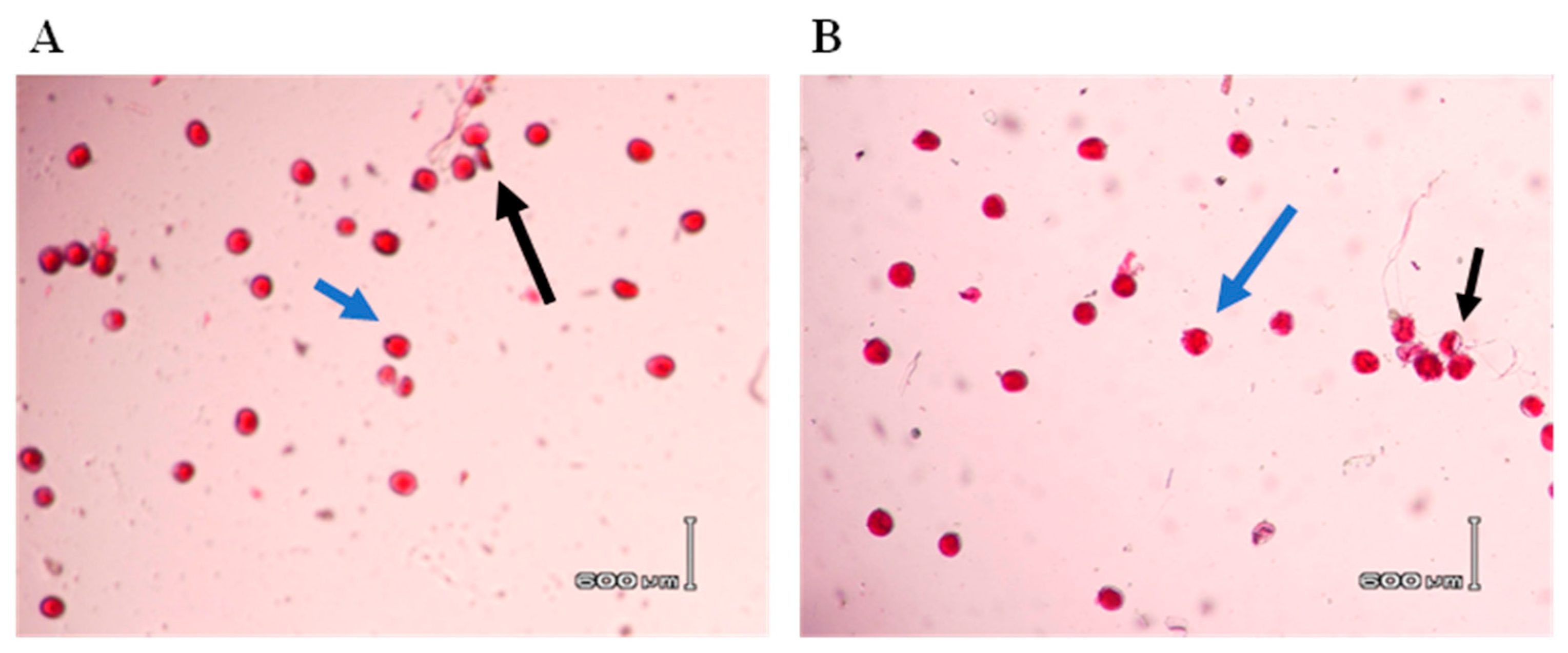Agronomy 14 00201 g002