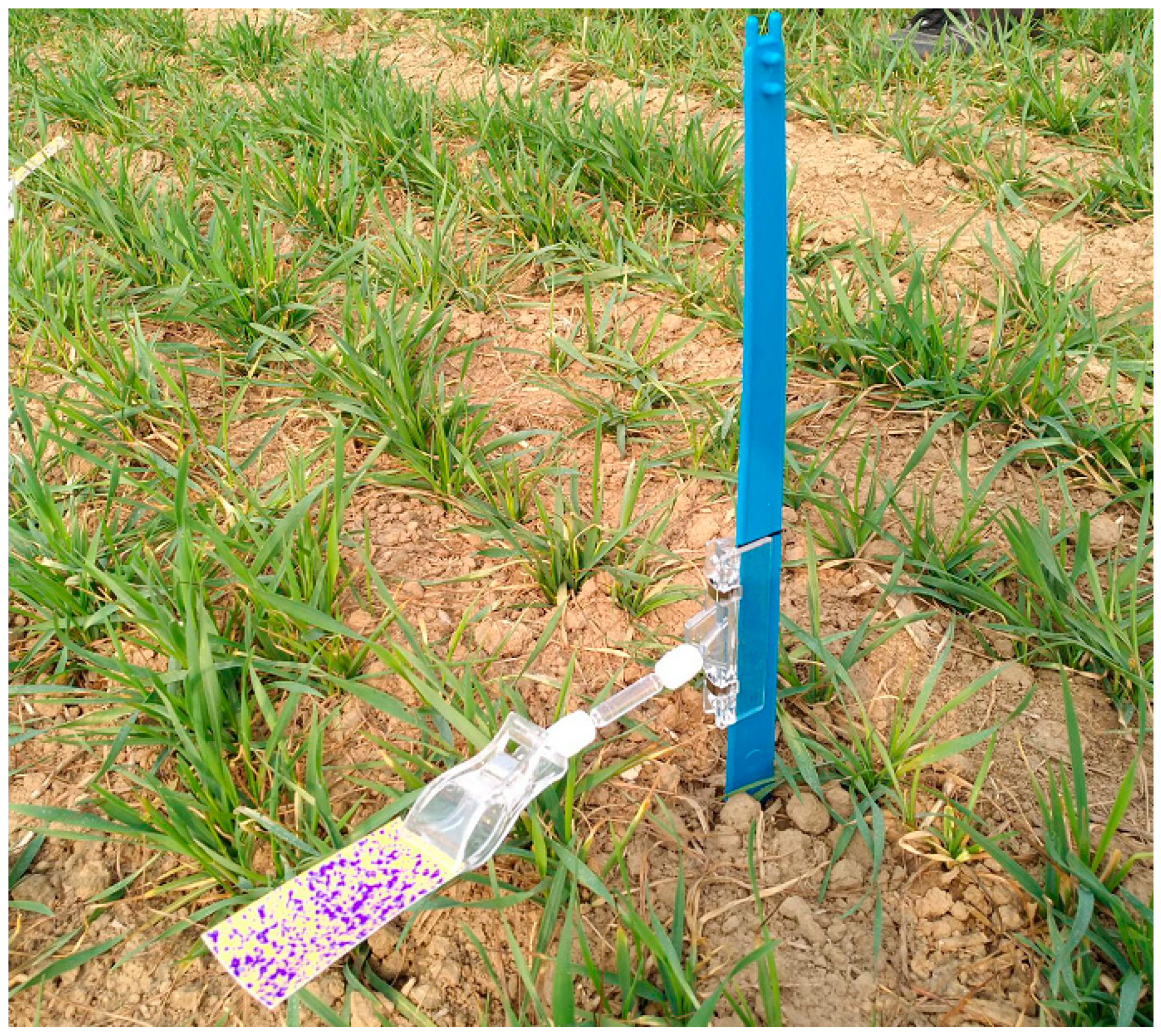 Agronomy 14 00211 g003 Agronomy 14 00211 g003