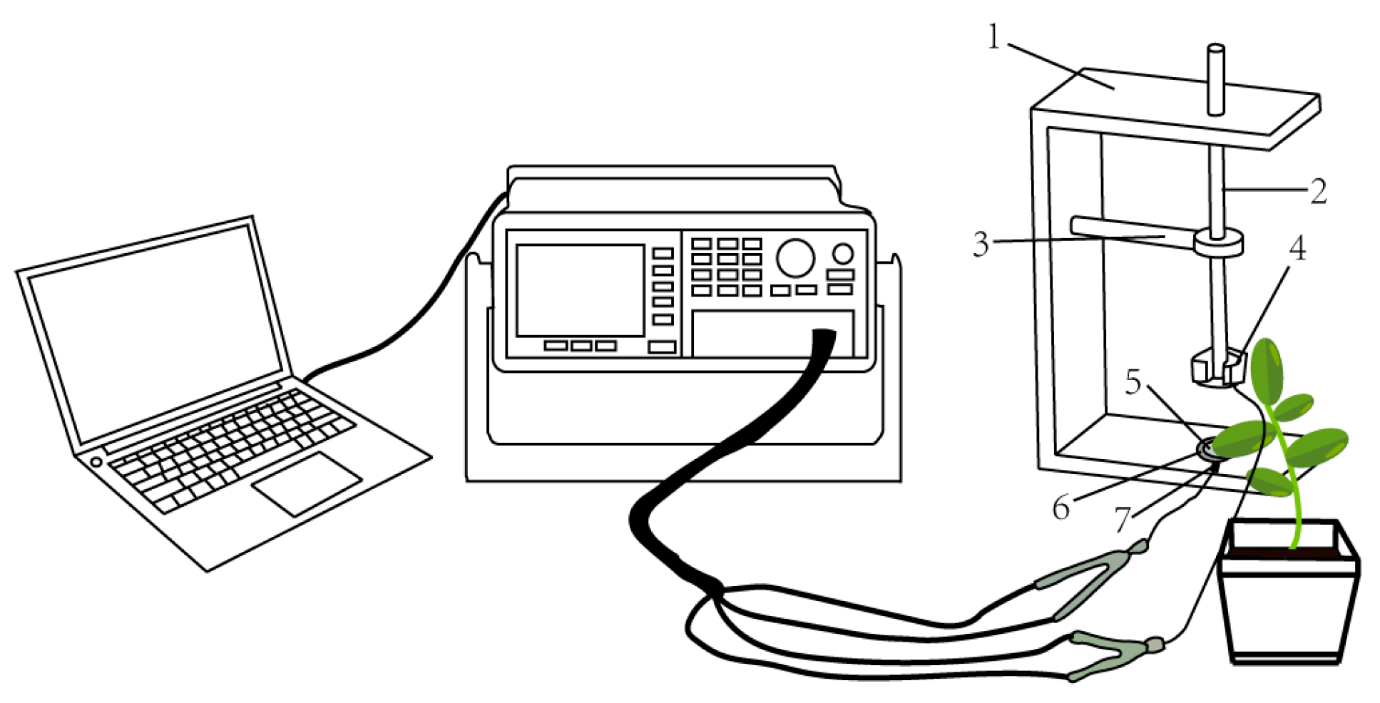 Agronomy 14 00218 g001