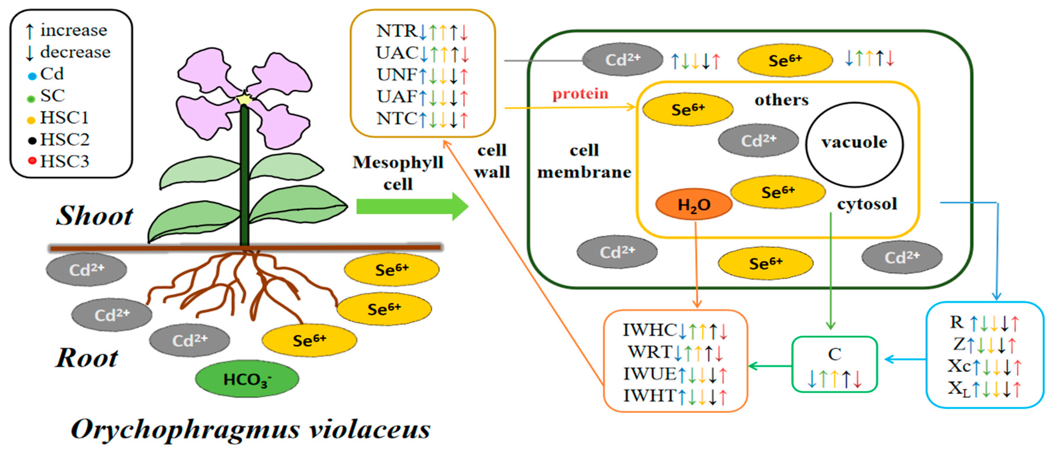 Agronomy 14 00218 g008