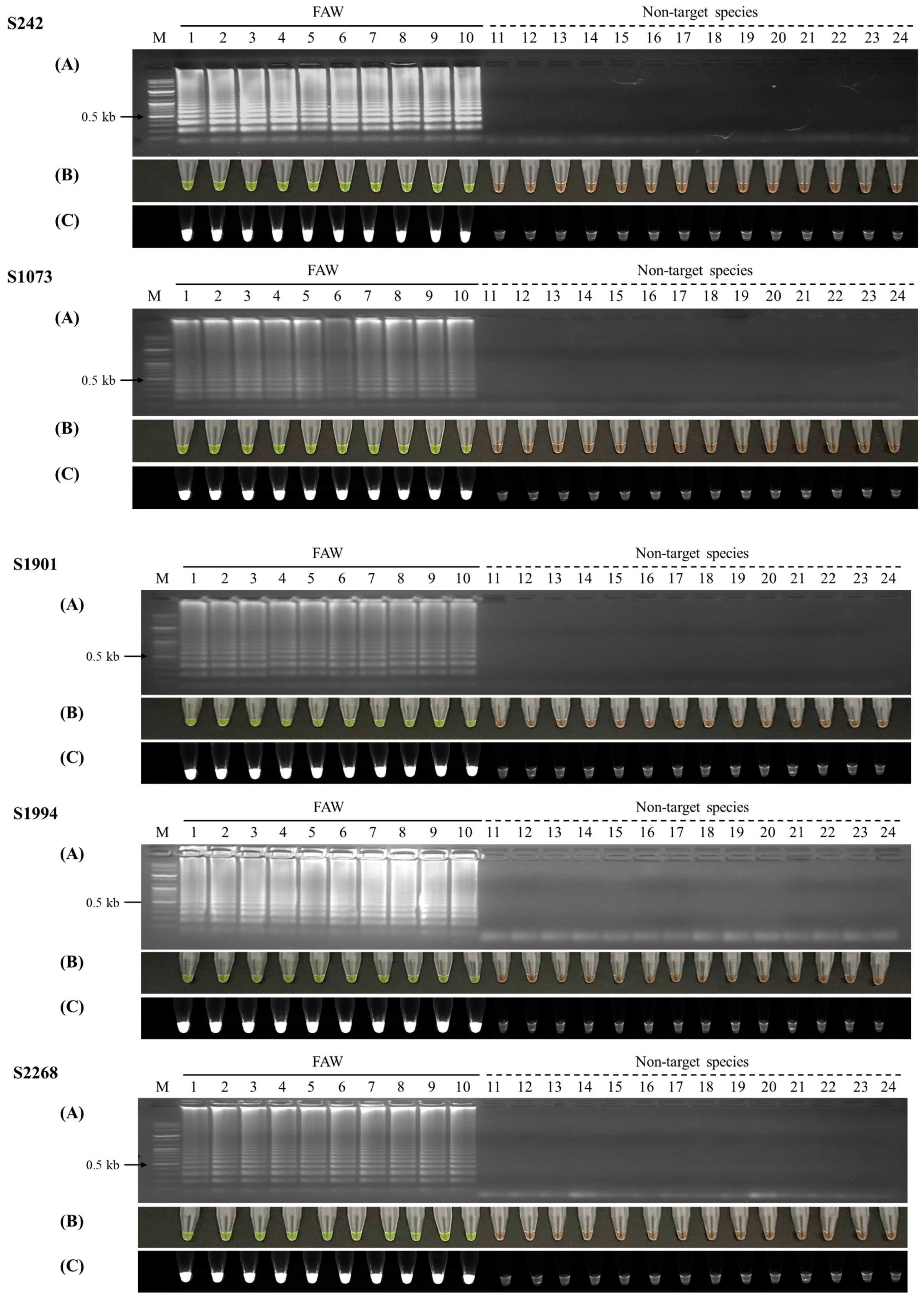 Agronomy 14 00219 g002