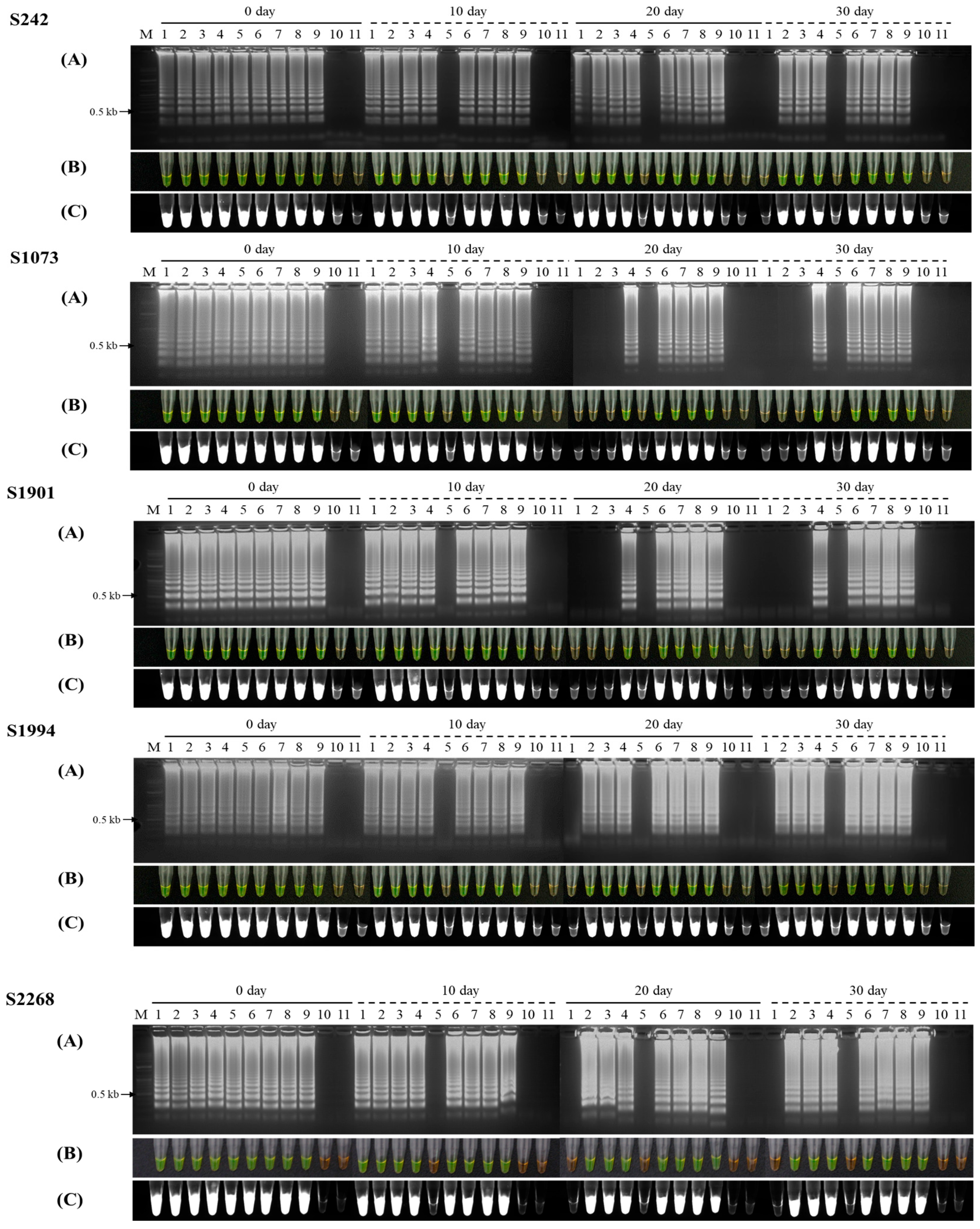 Agronomy 14 00219 g003