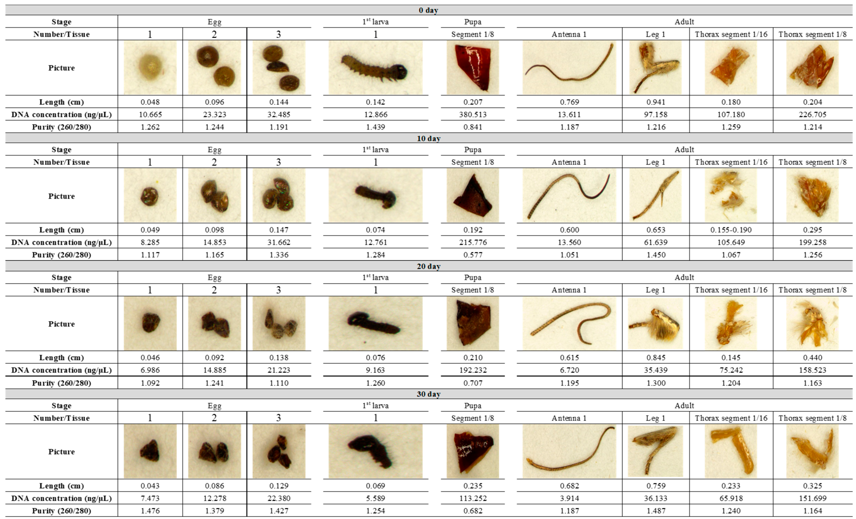 Agronomy 14 00219 g004