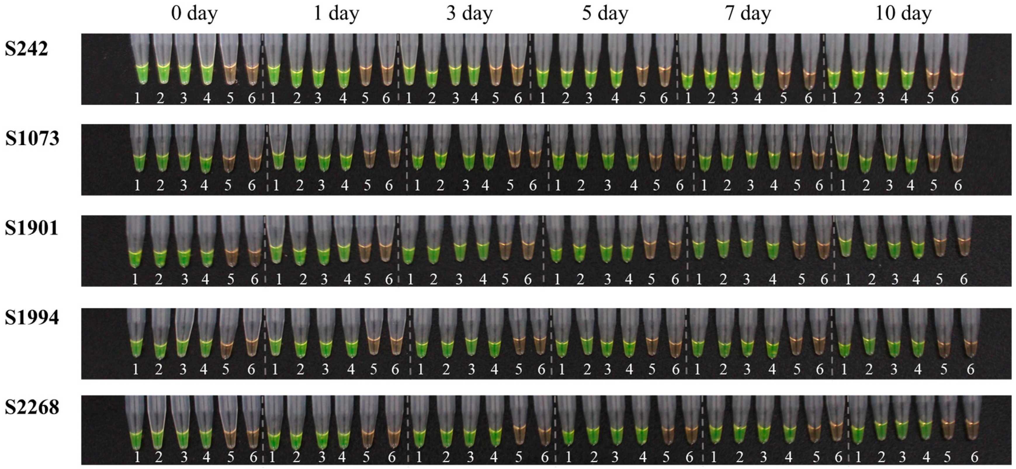 Agronomy 14 00219 g005
