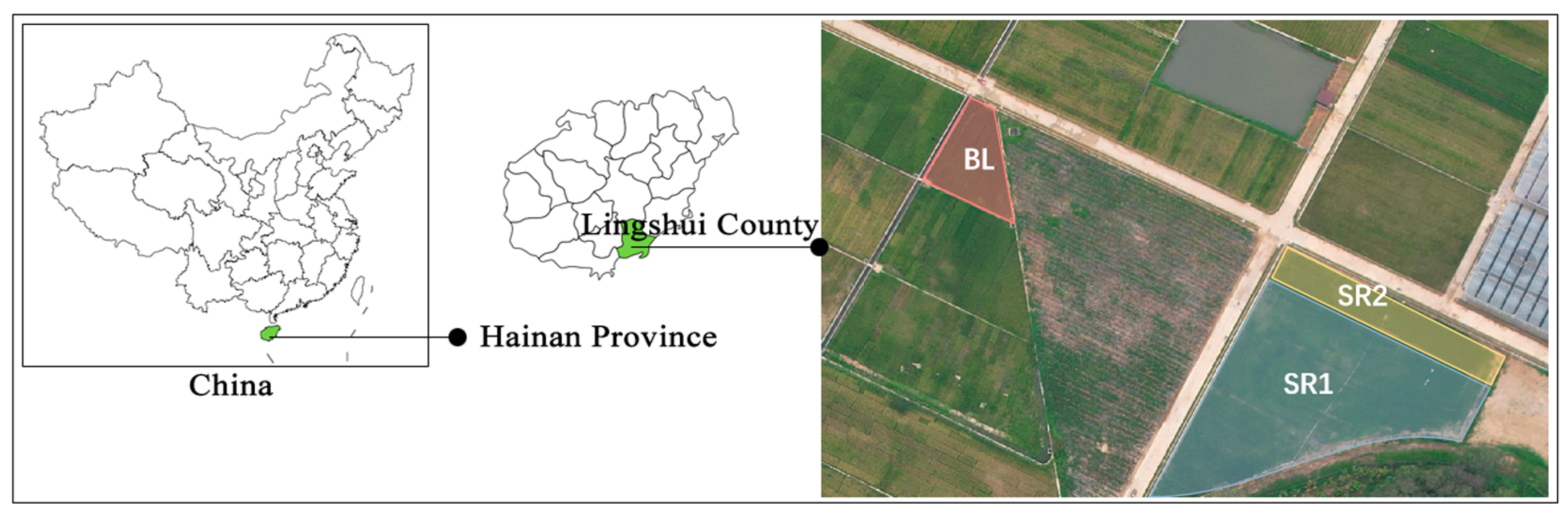 Agronomy 14 00222 g001