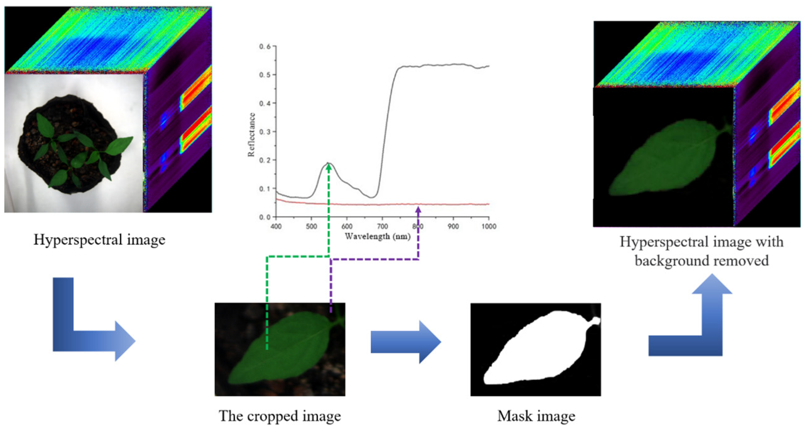 Agronomy 14 00226 g001