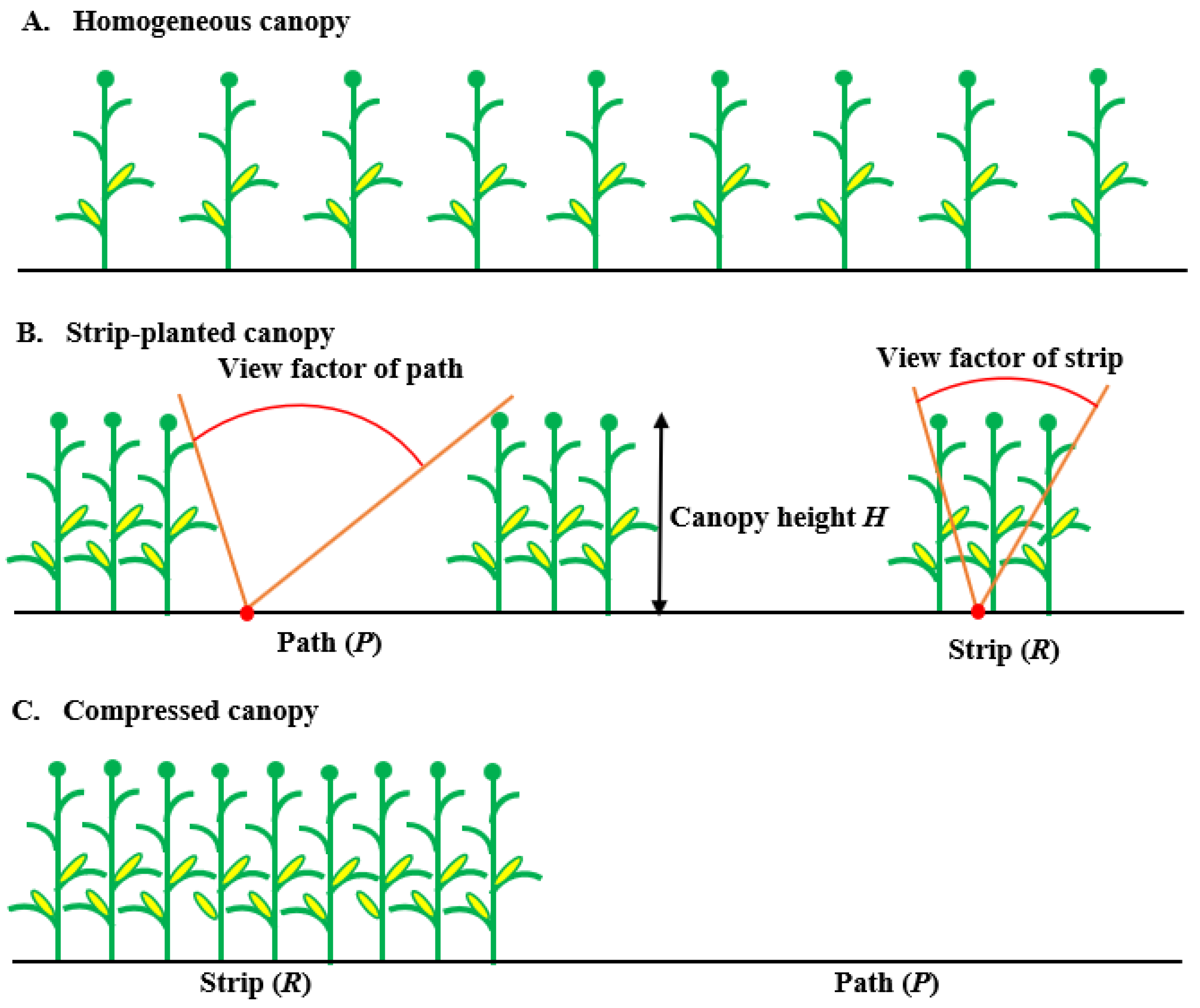Agronomy 14 00227 g001