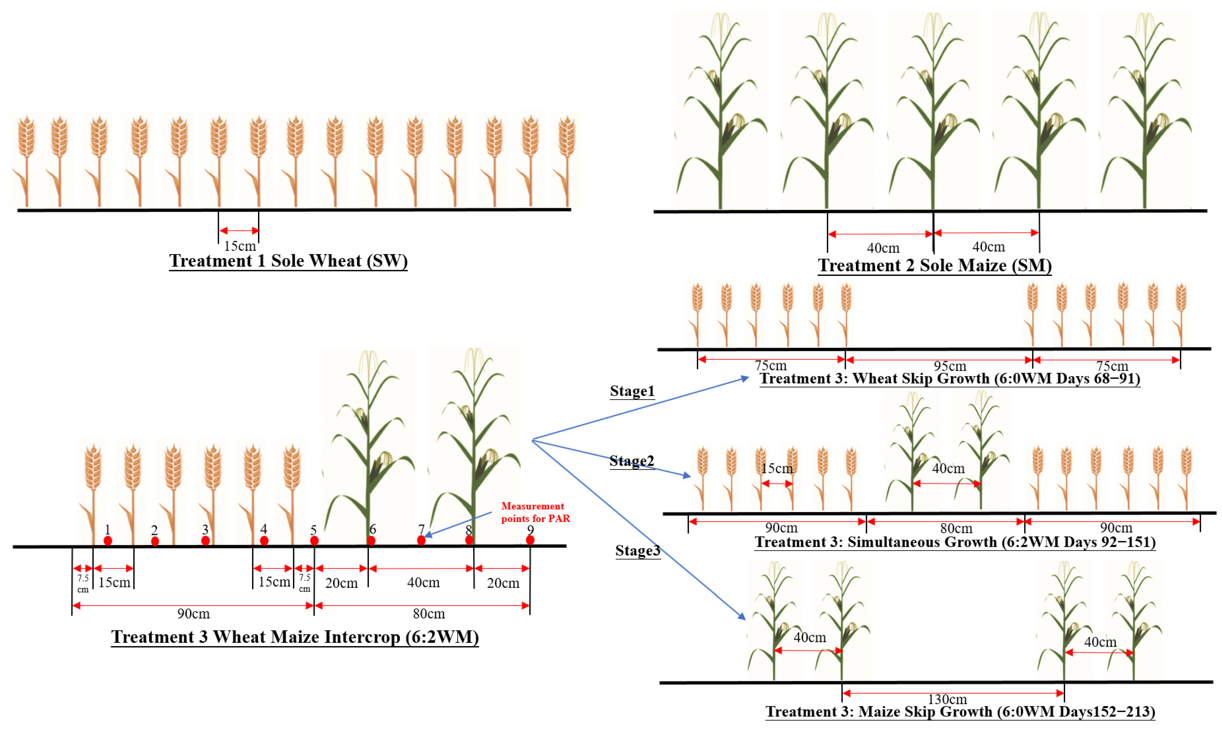 Agronomy 14 00227 g003