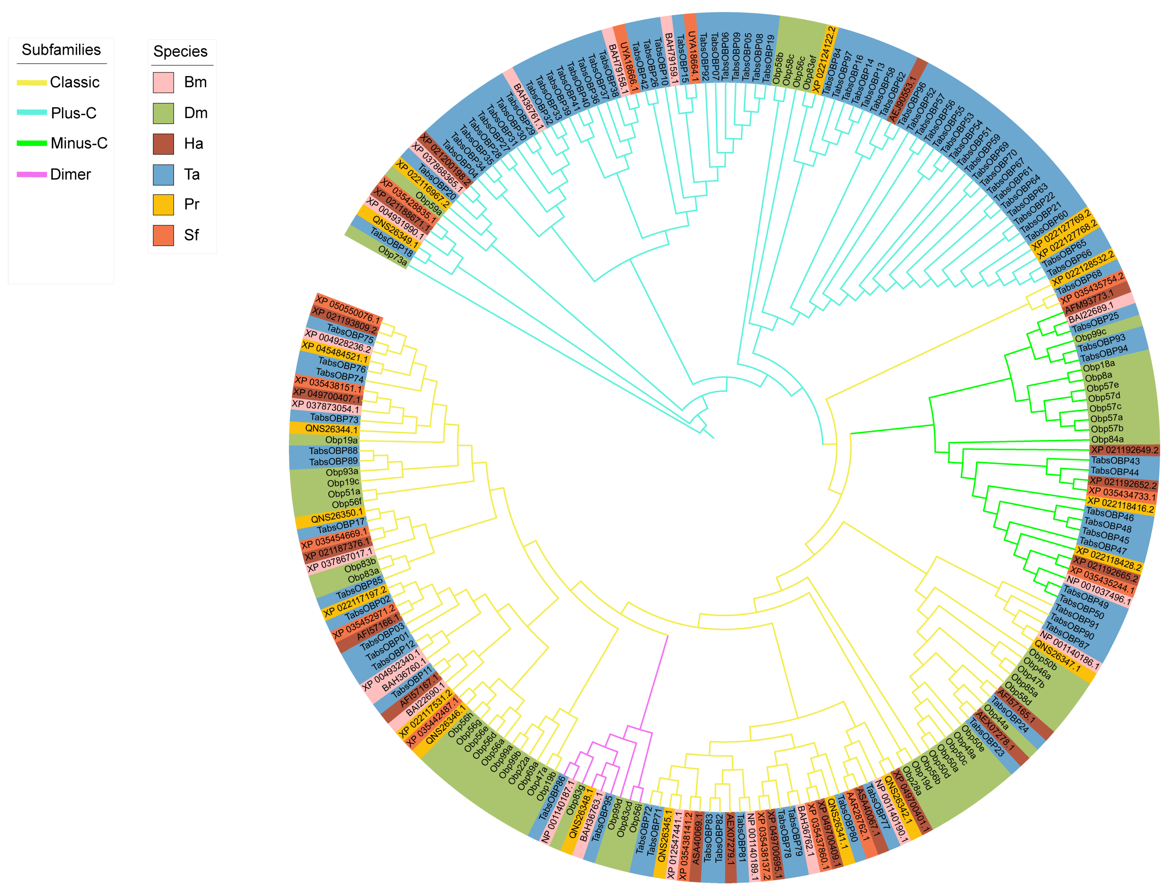 Agronomy 14 00231 g001