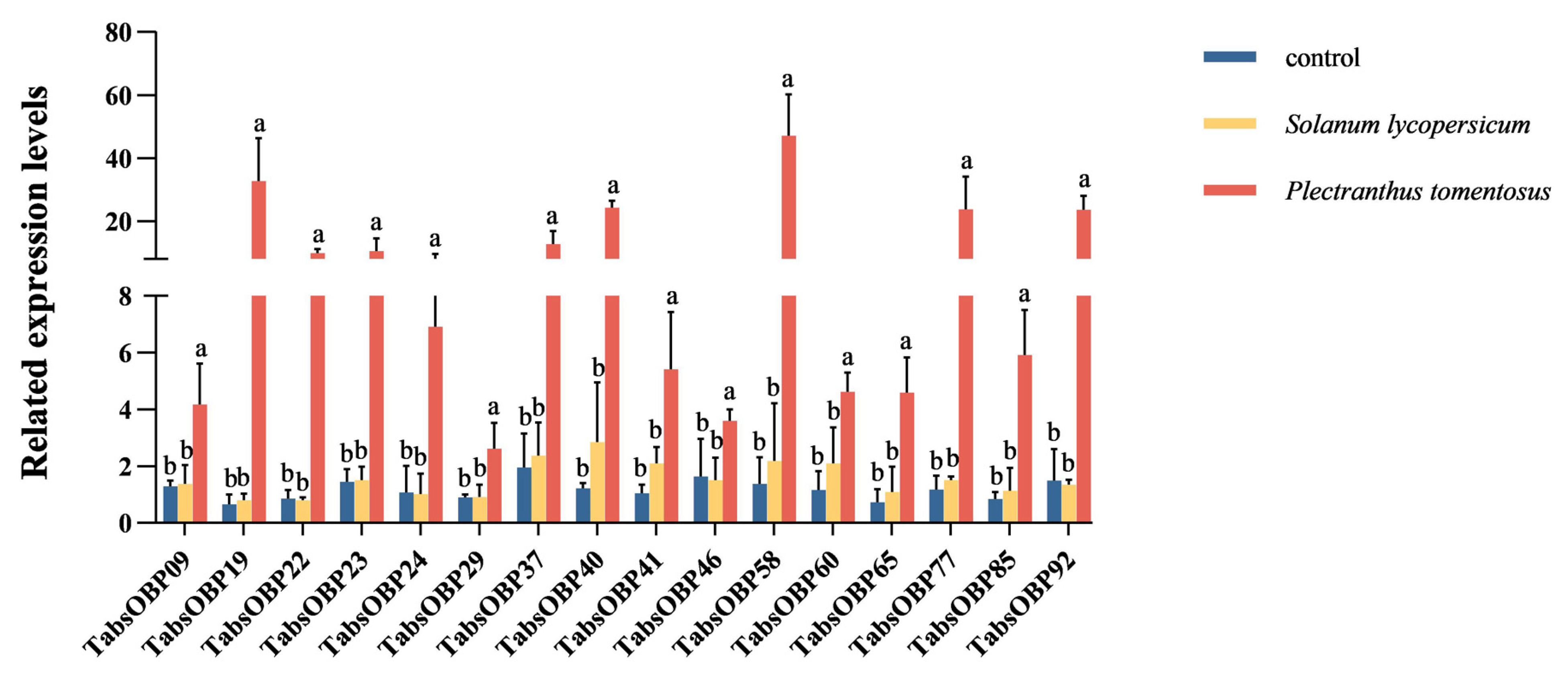 Agronomy 14 00231 g006