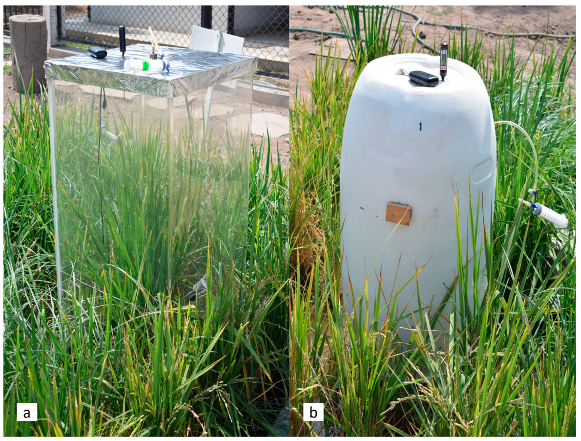 Agronomy 14 00248 g006