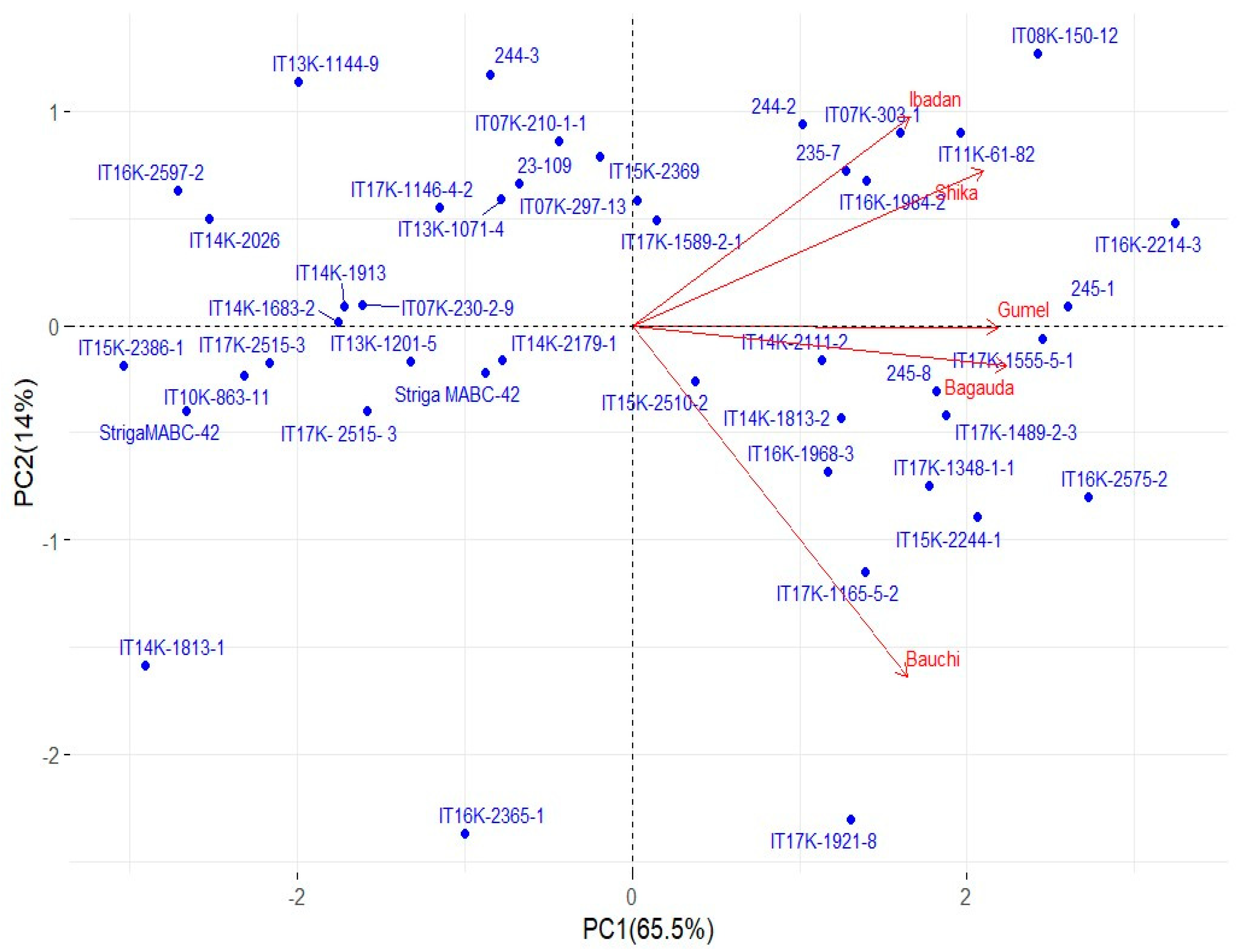 Agronomy 14 00263 g002