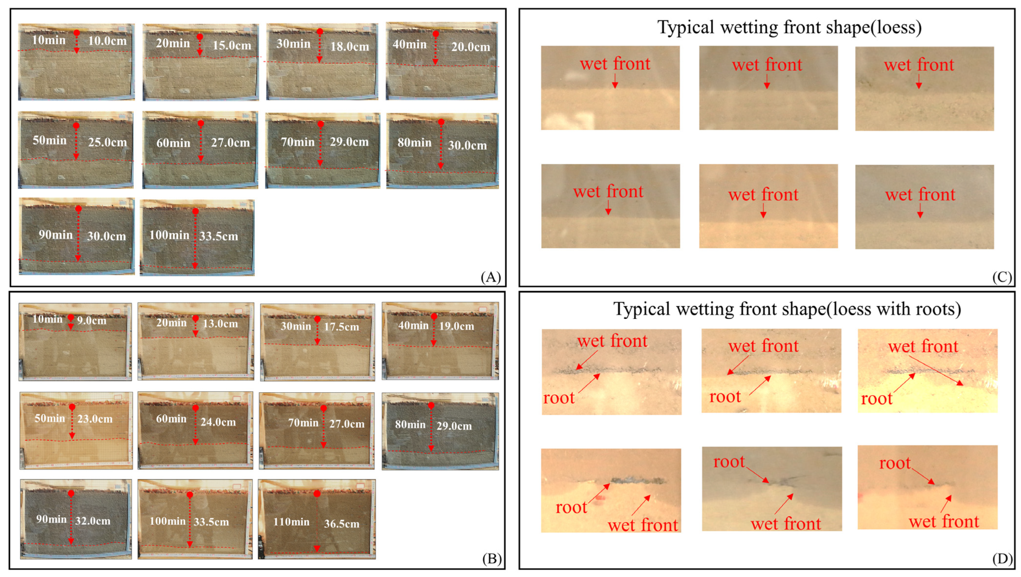 Agronomy 14 00276 g004