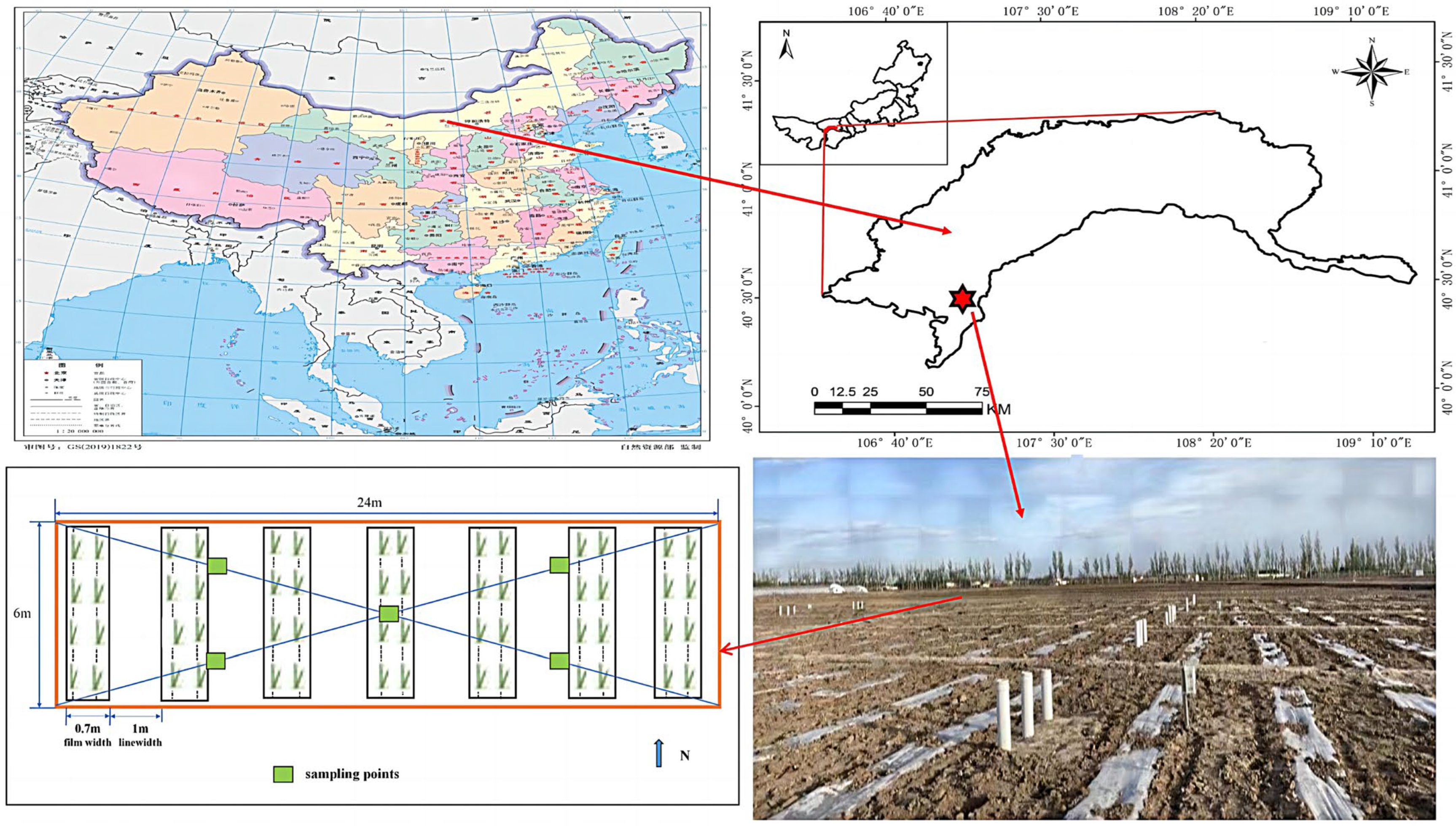 Agronomy 14 00282 g001