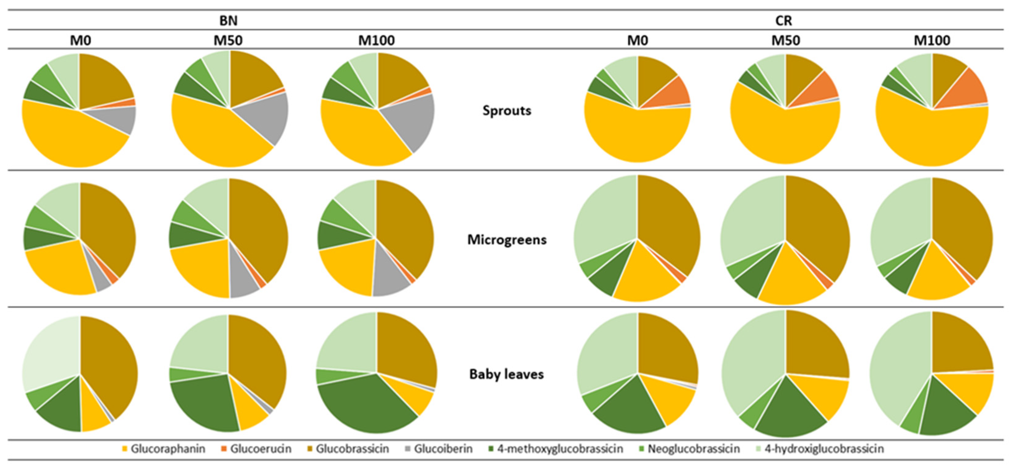 Agronomy 14 00286 g002