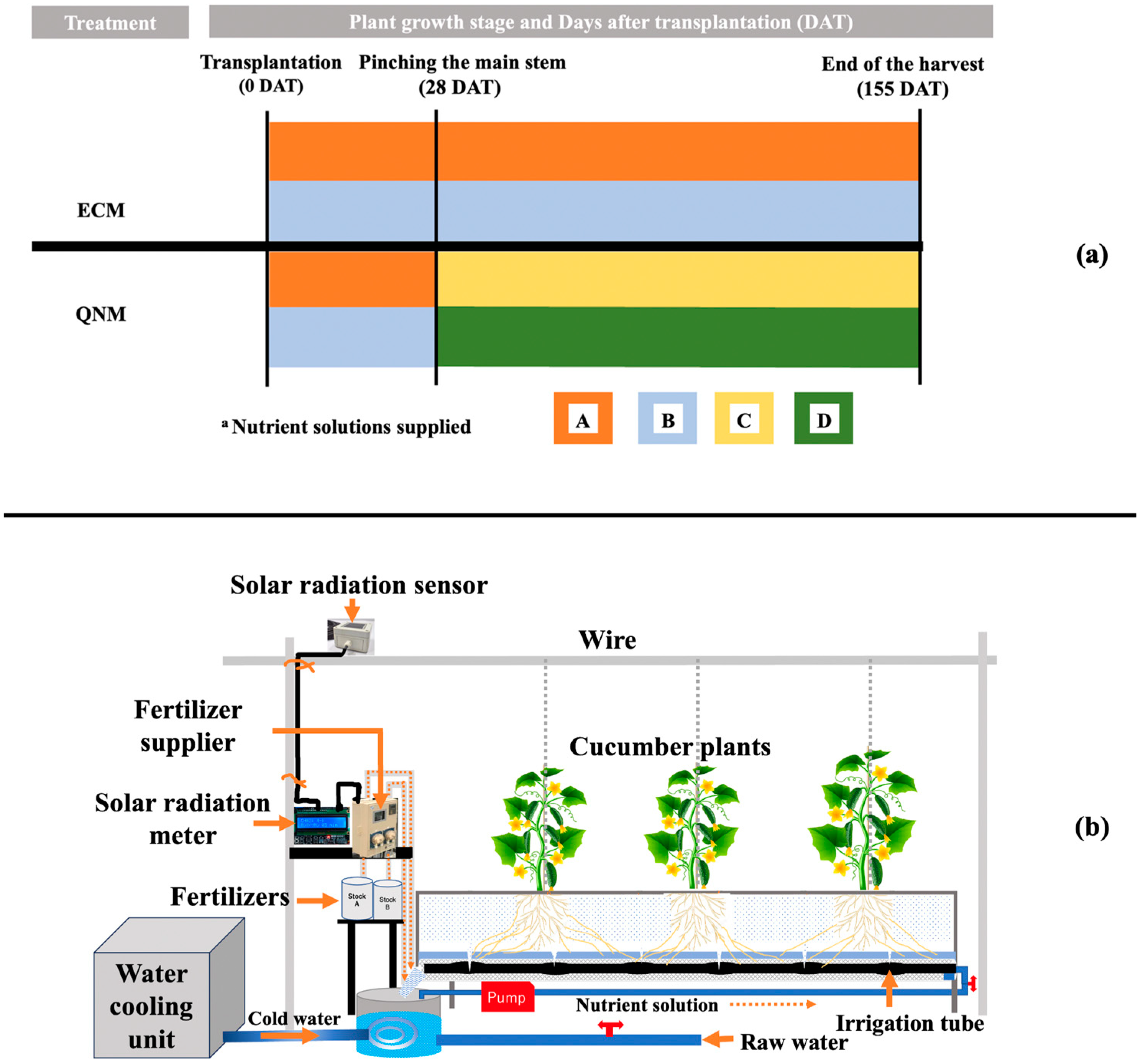 Agronomy 14 00296 g001