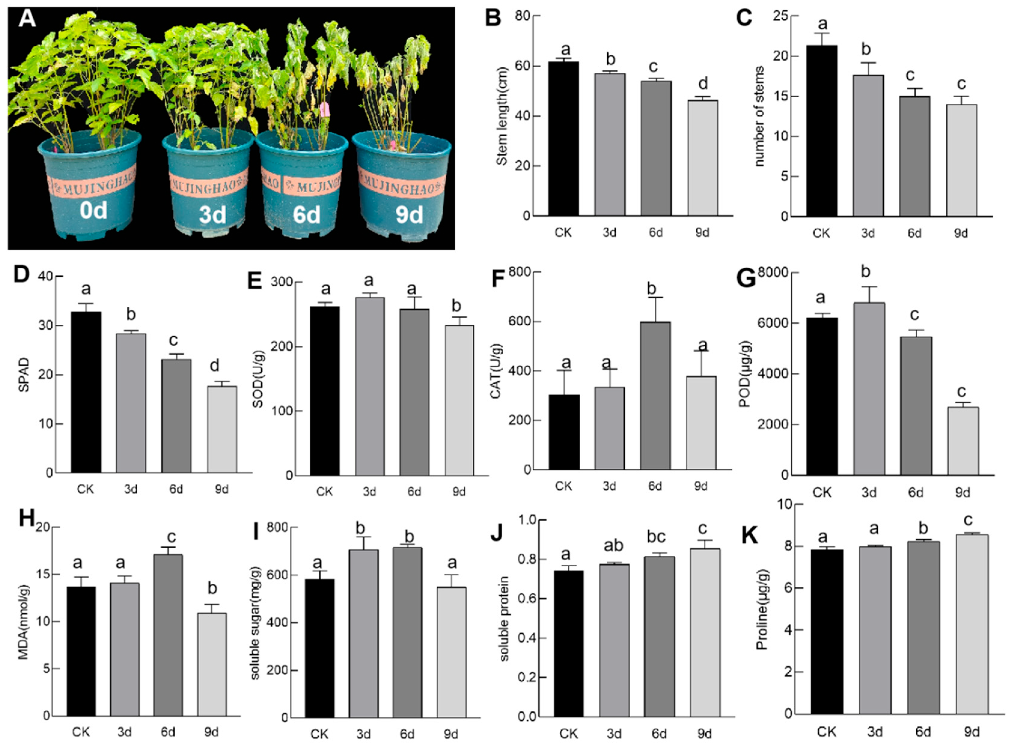 Agronomy 14 00301 g001 Agronomy 14 00301 g001