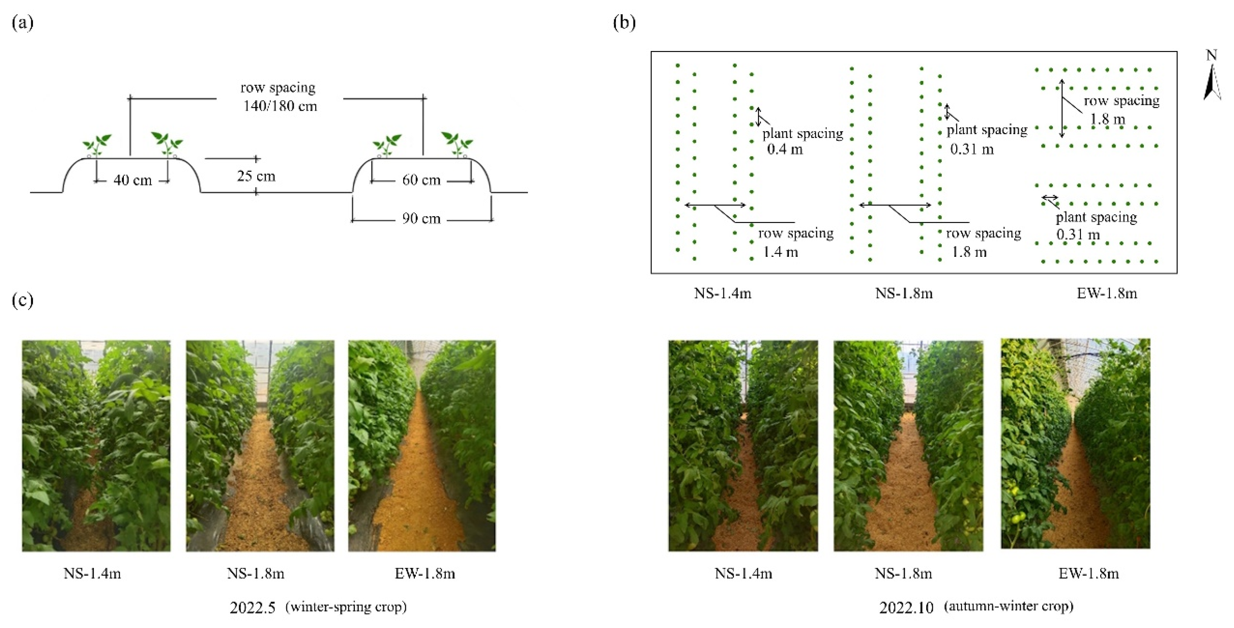 Agronomy 14 00314 g002 Agronomy 14 00314 g002