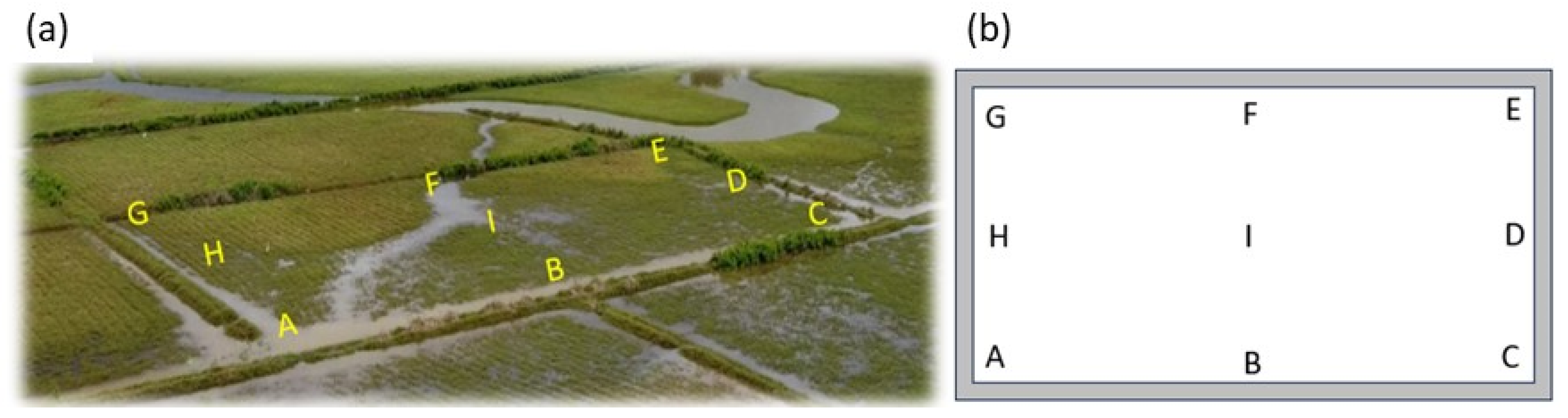 Agronomy 14 00335 g003 Agronomy 14 00335 g003